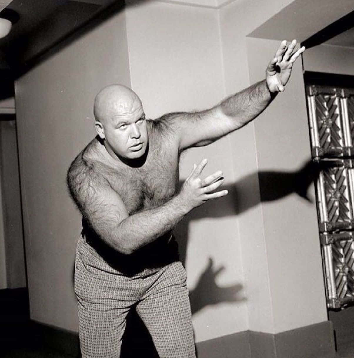 George Steele, checkered pants, dramatic pose, SD Phone Wallpaper