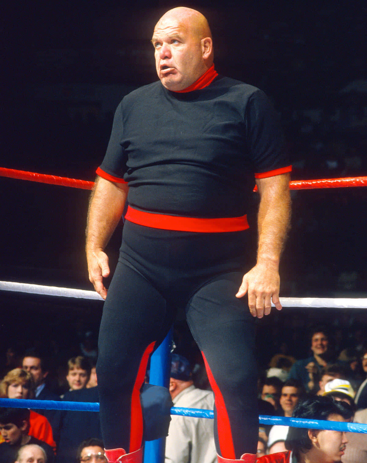 George Steele, ring ropes, bright arena lights, HD Phone Wallpaper