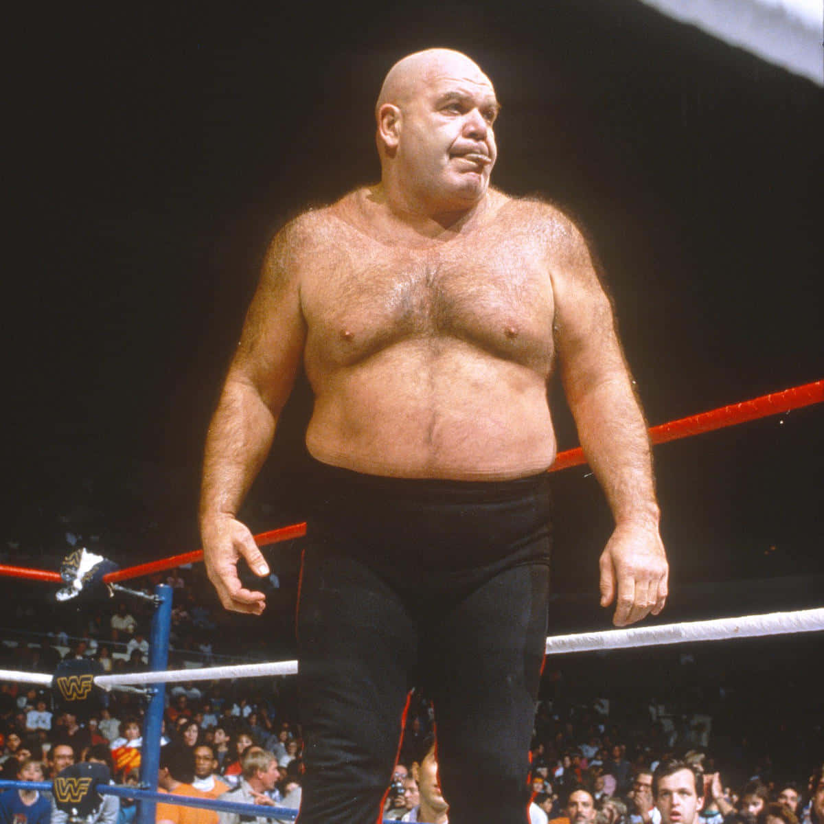 George Steele, black trunks, wrestling ring, SD Desktop Wallpaper