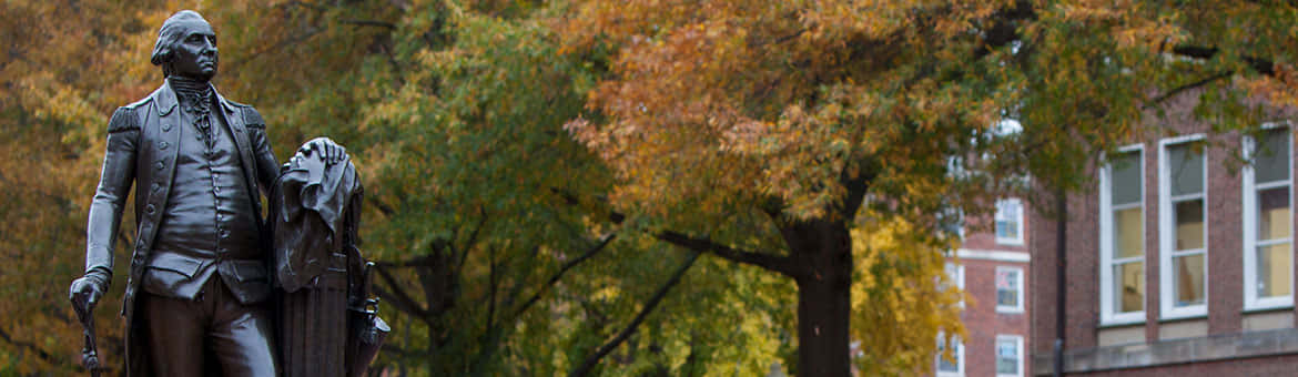 George Washington University, George Washington, bronze statue, SD Desktop Wallpaper