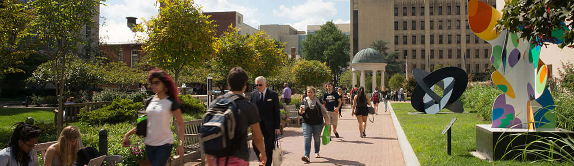 George Washington University, walkway, sunlit university quad, SD Desktop Wallpaper