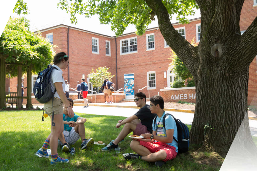 George Washington University, students, yard, SD Desktop Wallpaper