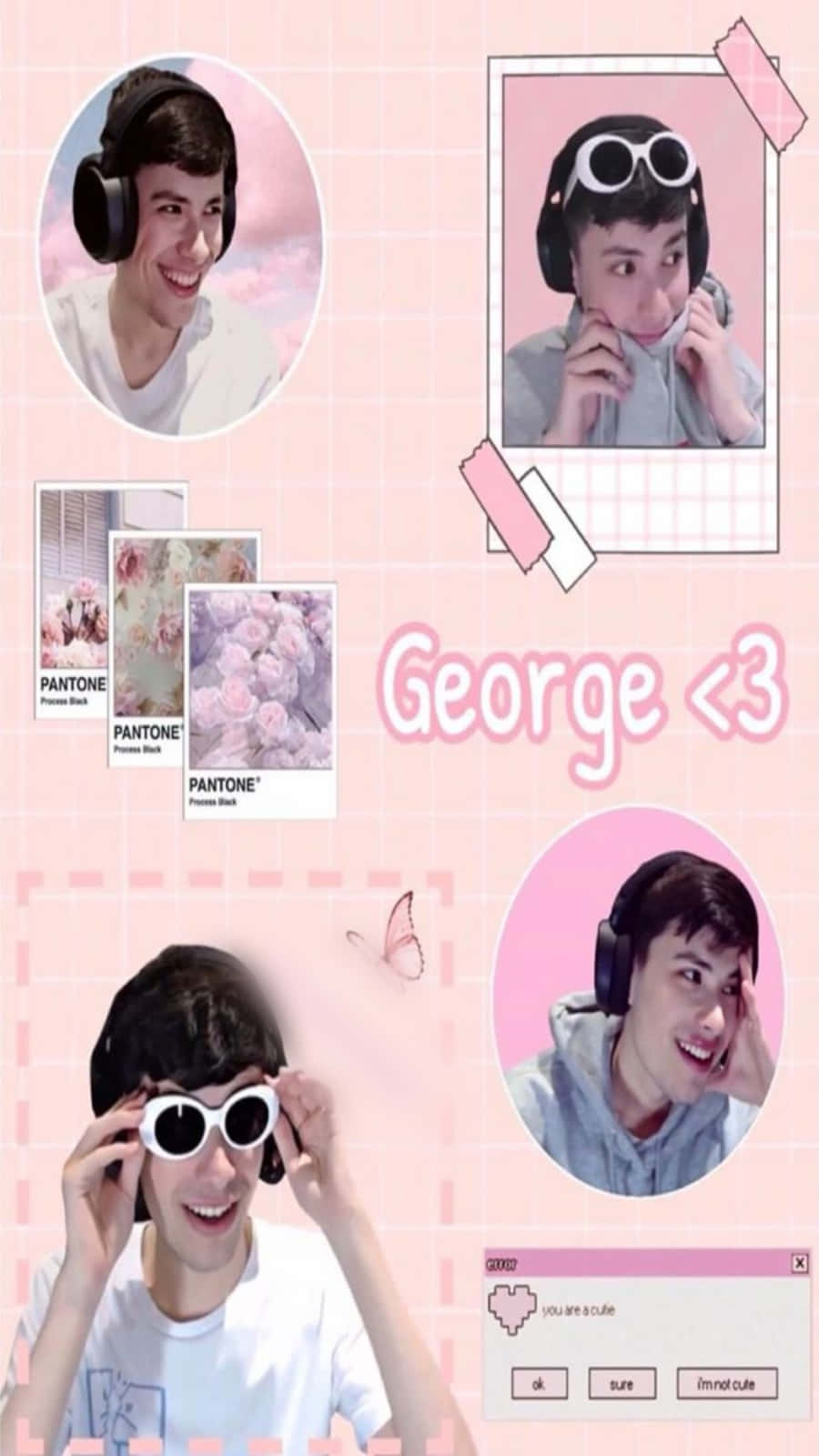 Georgenotfound, Pantone rose pink, circular photos, HD Phone Wallpaper