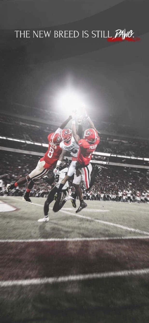 Georgia Bulldogs, stadium lights, nighttime game, HD Phone Wallpaper