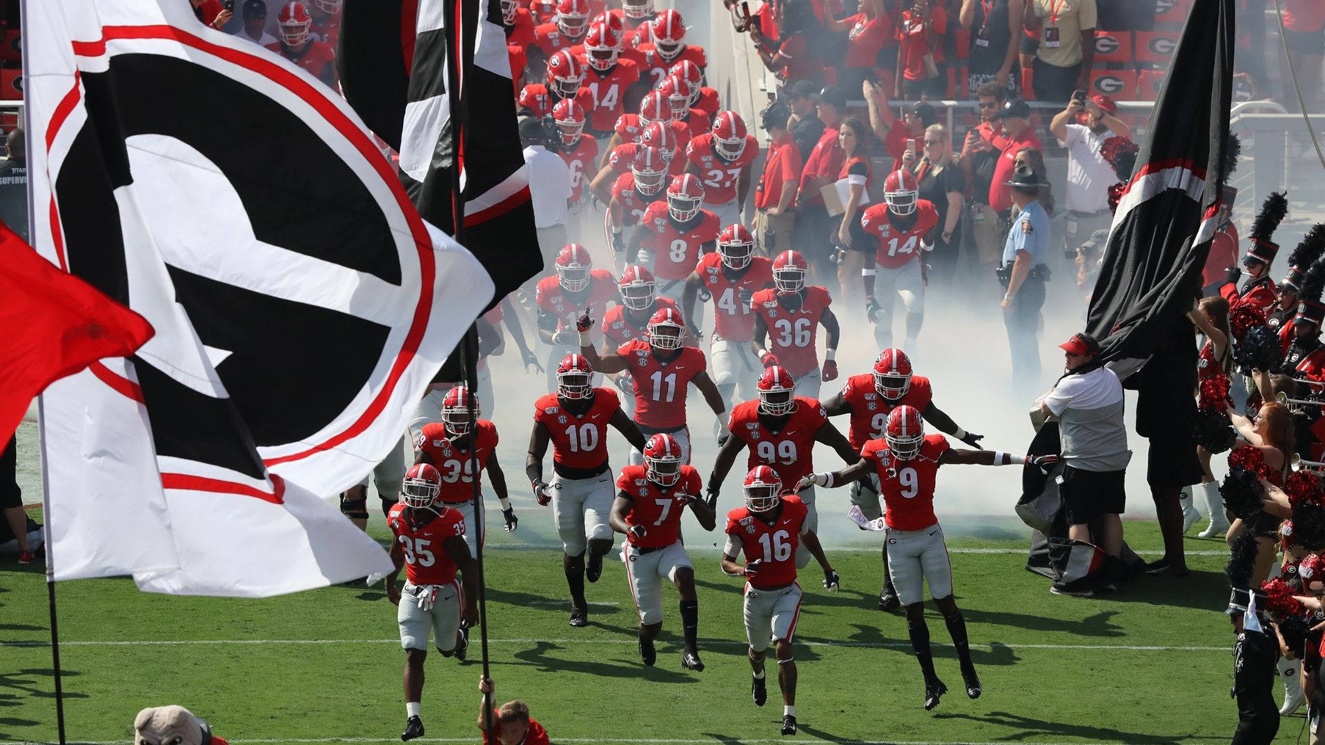 Georgia Bulldogs, football team, field, Full HD Desktop Wallpaper