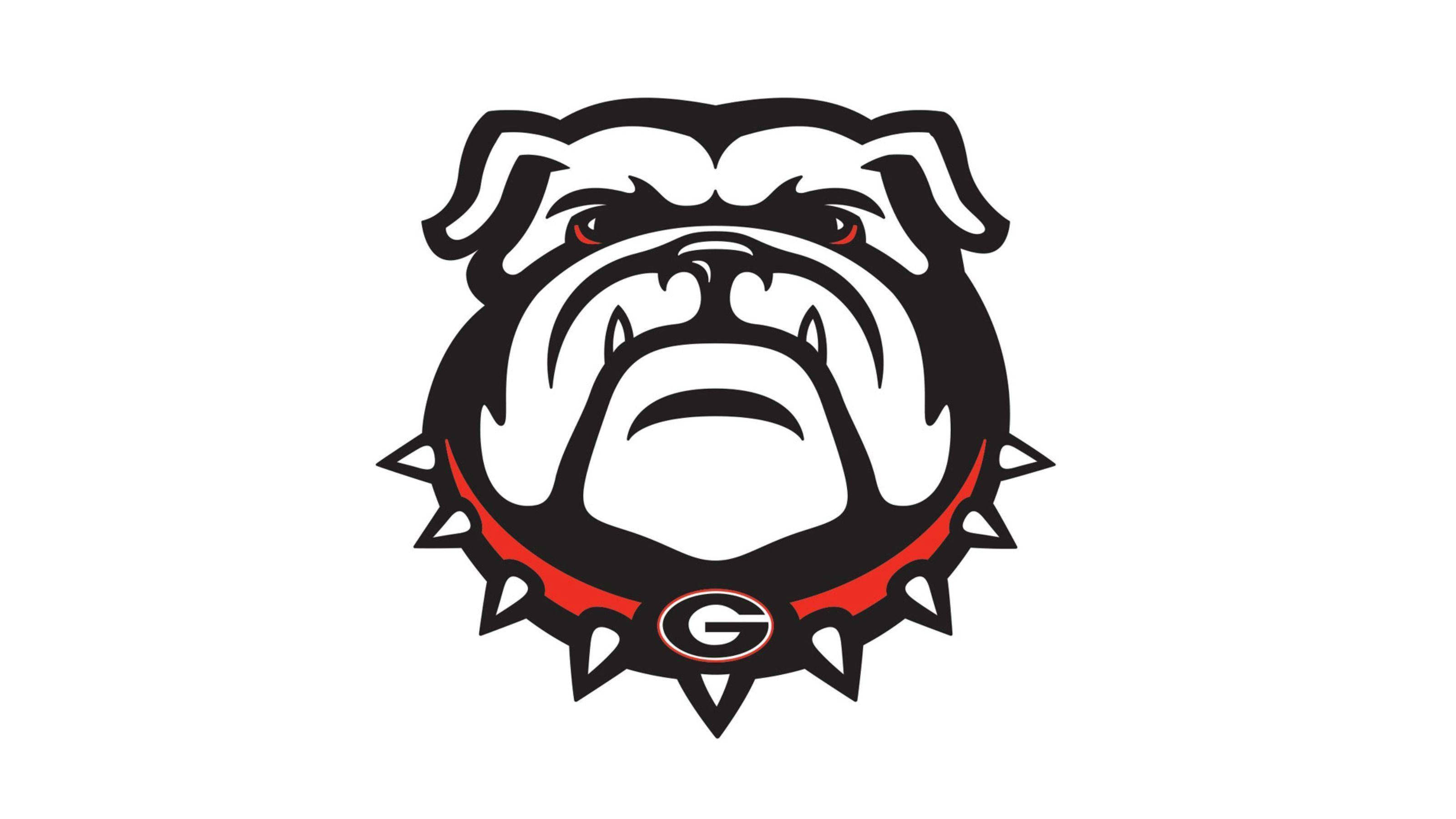 Georgia Bulldogs, black and white bulldog mascot logo, red spiked collar, 2K Desktop Wallpaper