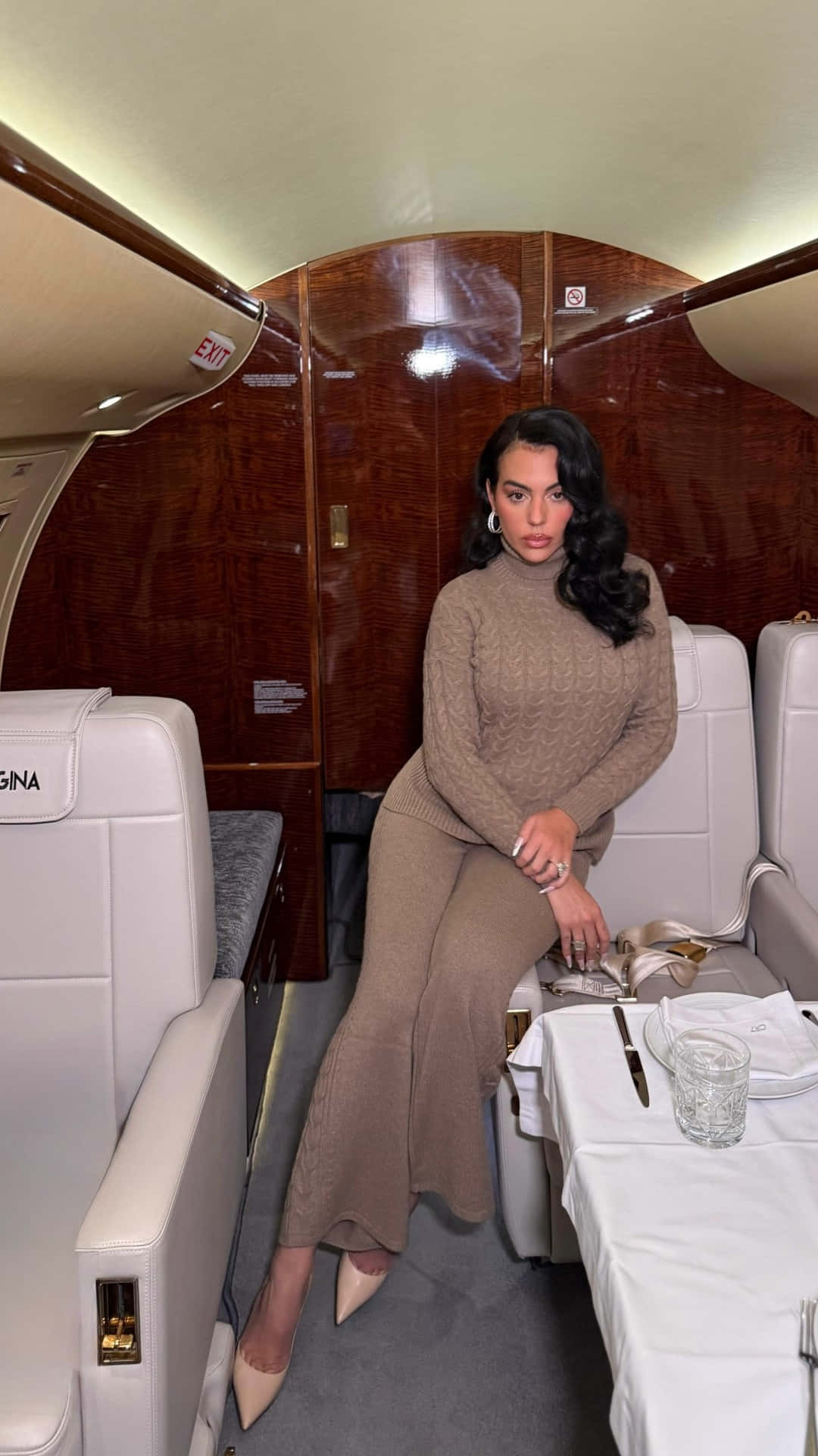 Georgina Rodríguez, private jet, polished wood paneling, Full HD Phone Wallpaper