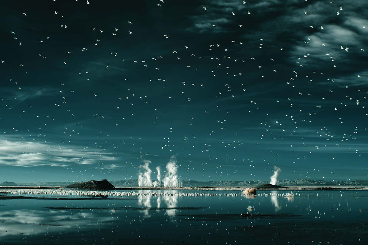 teal landscape, steam vents, flock of birds, SD Desktop Wallpaper