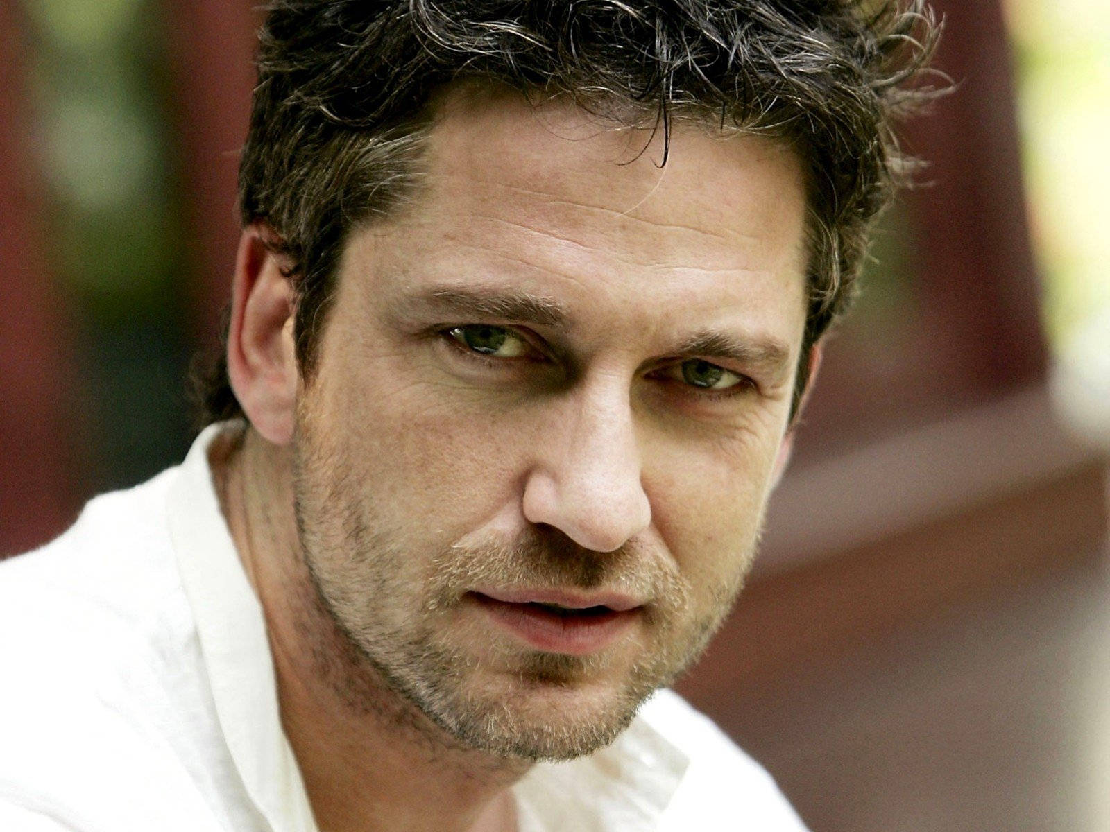 Gerard Butler, green eyes, tousled dark hair, HD Desktop Wallpaper
