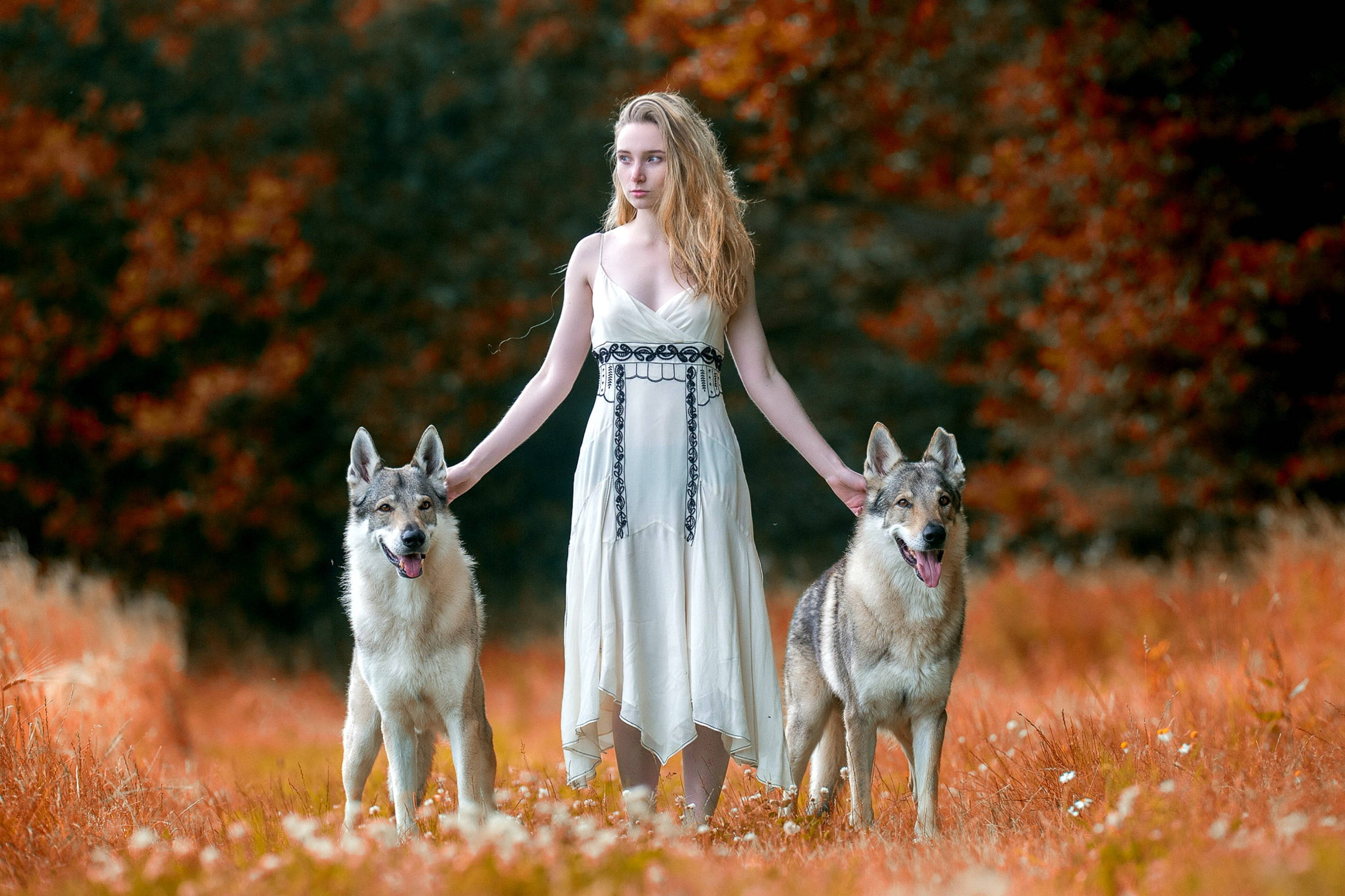 German Girl, wolves, white dress, 2K Desktop Wallpaper