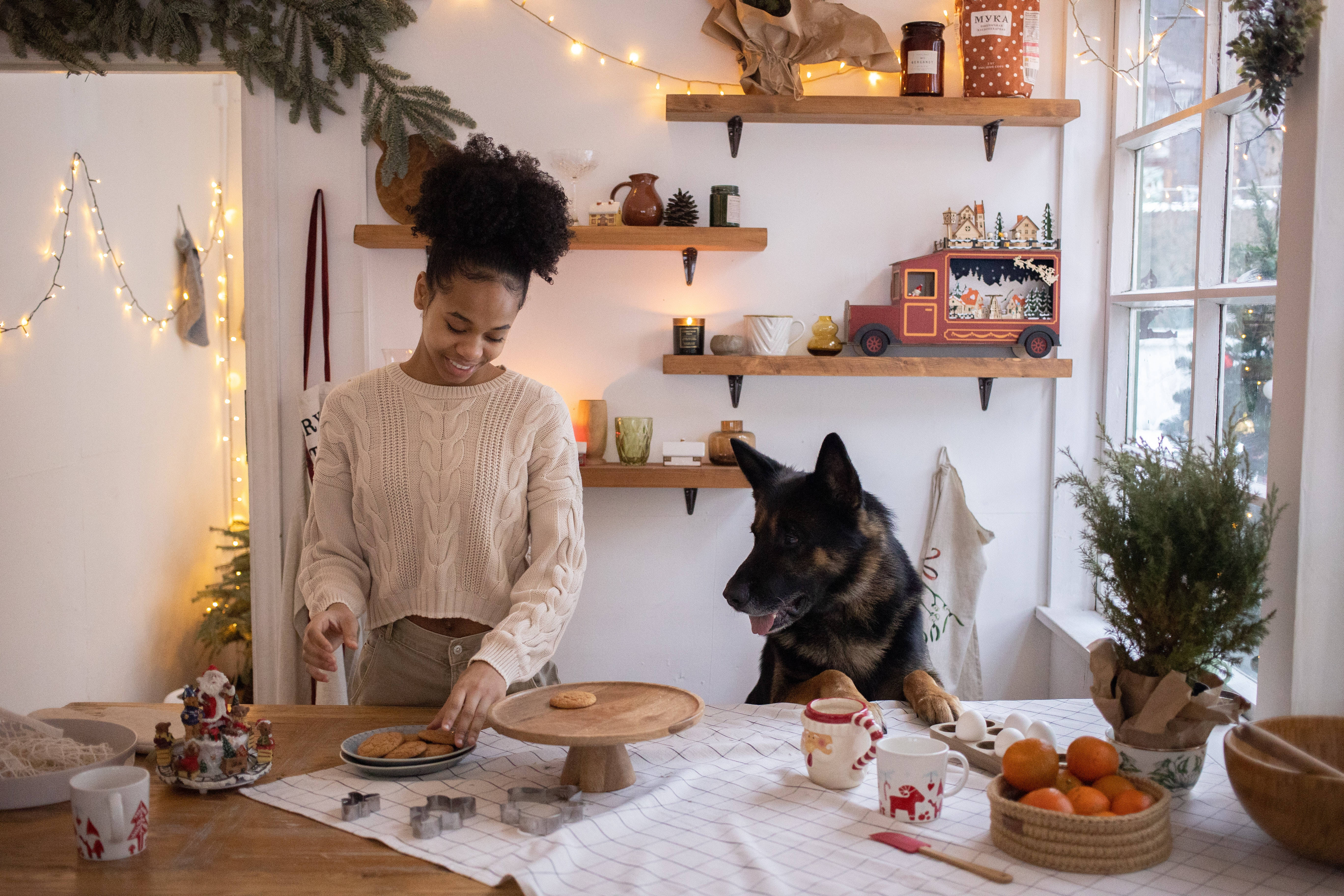 German Shepherd Dog, cookies, festive kitchen table, 5K Desktop Wallpaper