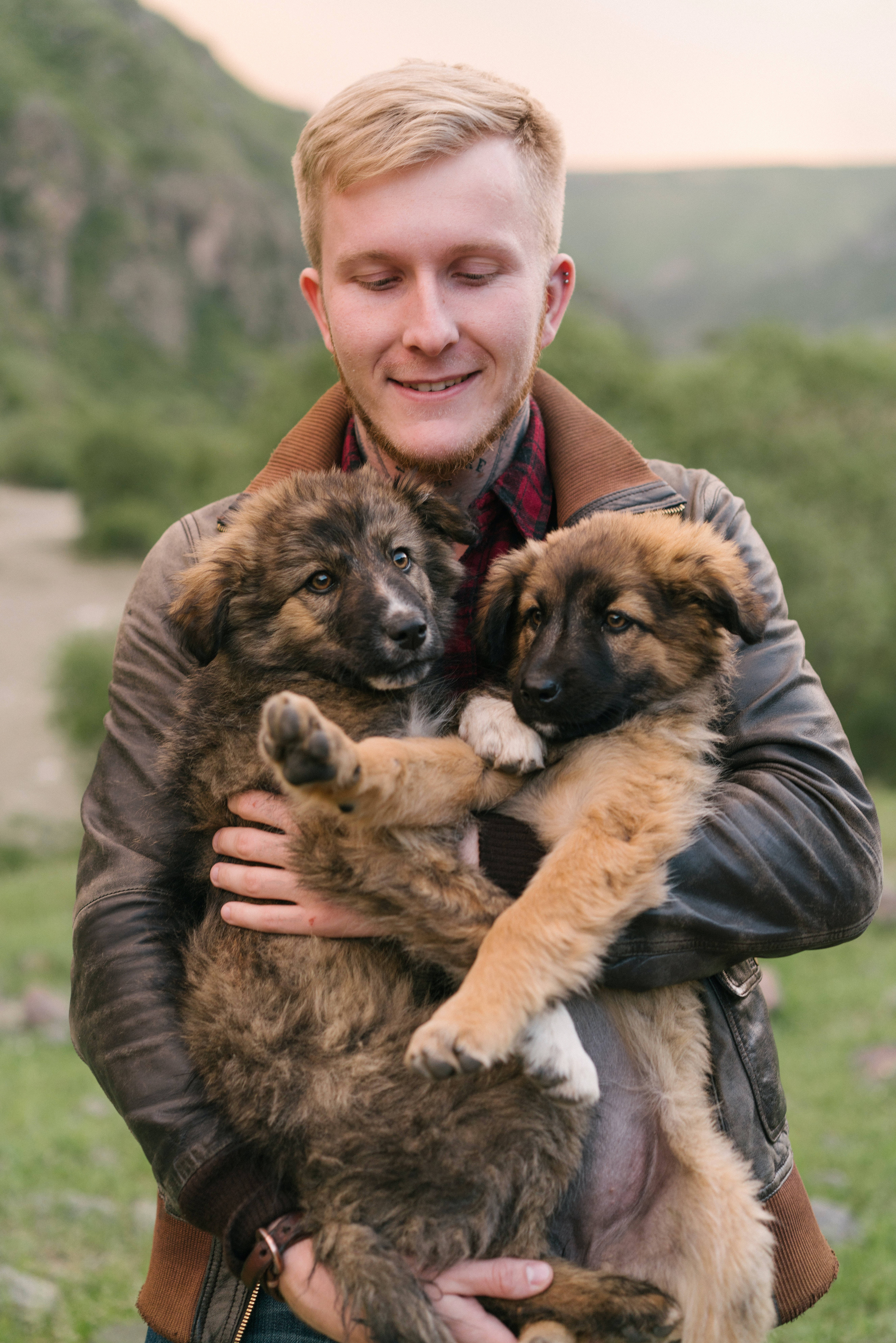 German Shepherd Dog, leather jacket, fluffy puppies, 8K Phone Wallpaper