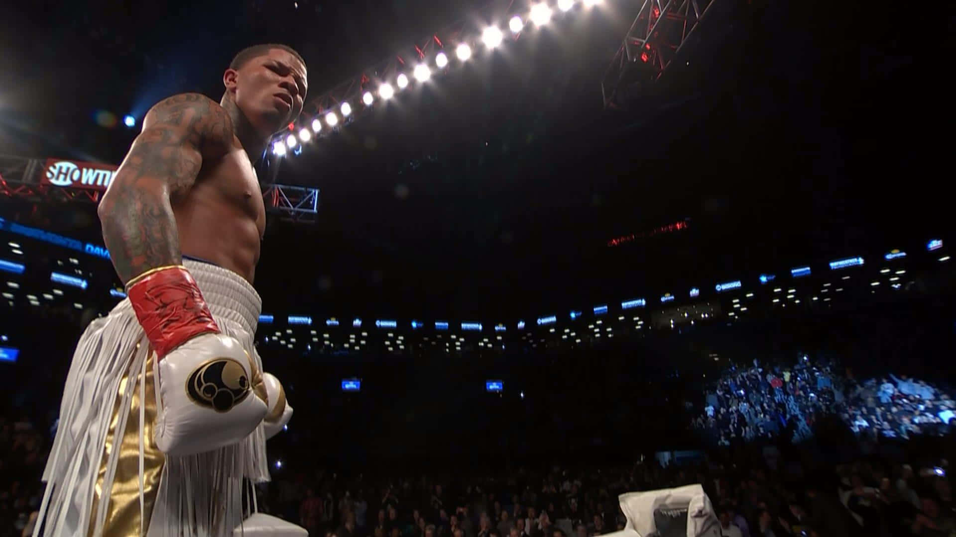 Gervonta Davis, ring, arena lights, Full HD Desktop Wallpaper
