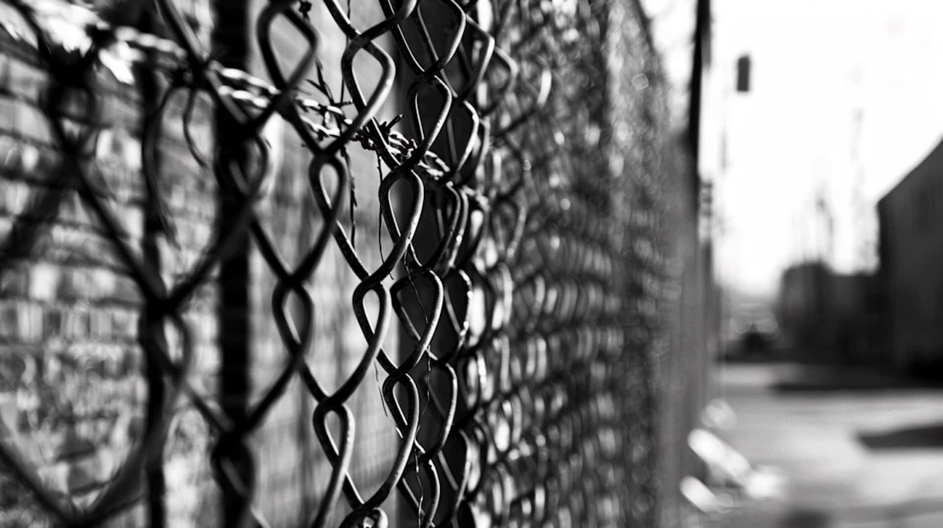chain-link fence, barbed wire, black and white, Full HD Desktop Wallpaper