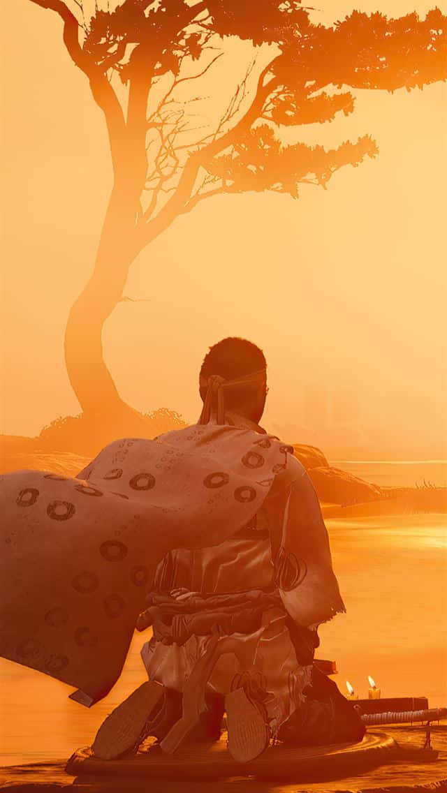 Ghost Of Tsushima, iPhone, samurai, SD Phone Wallpaper