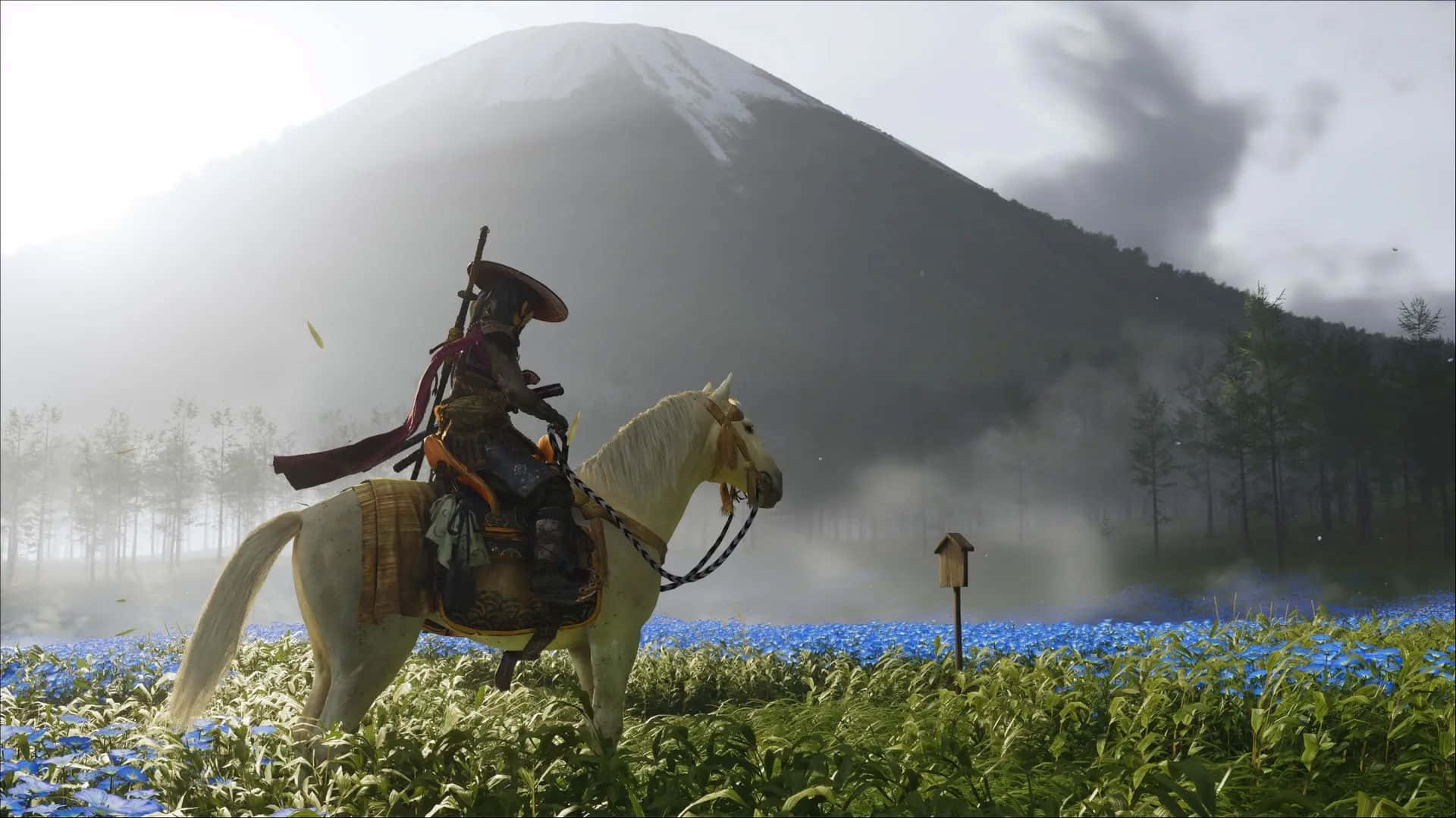 Ghost Of Yotei Mountain, samurai, white horse, Full HD Desktop Wallpaper