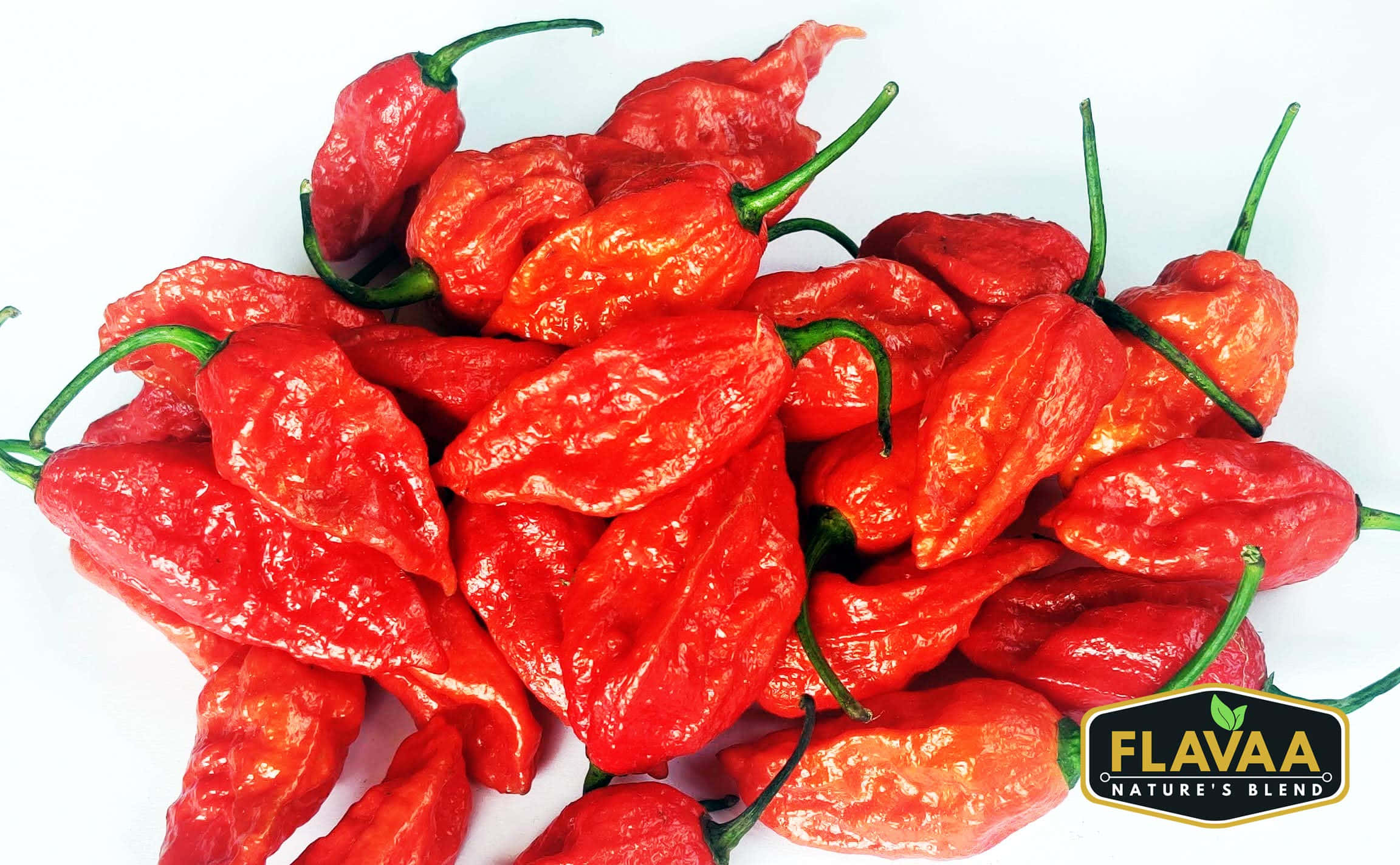 Ghost Pepper, red hot peppers, green stems, Full HD Desktop Wallpaper
