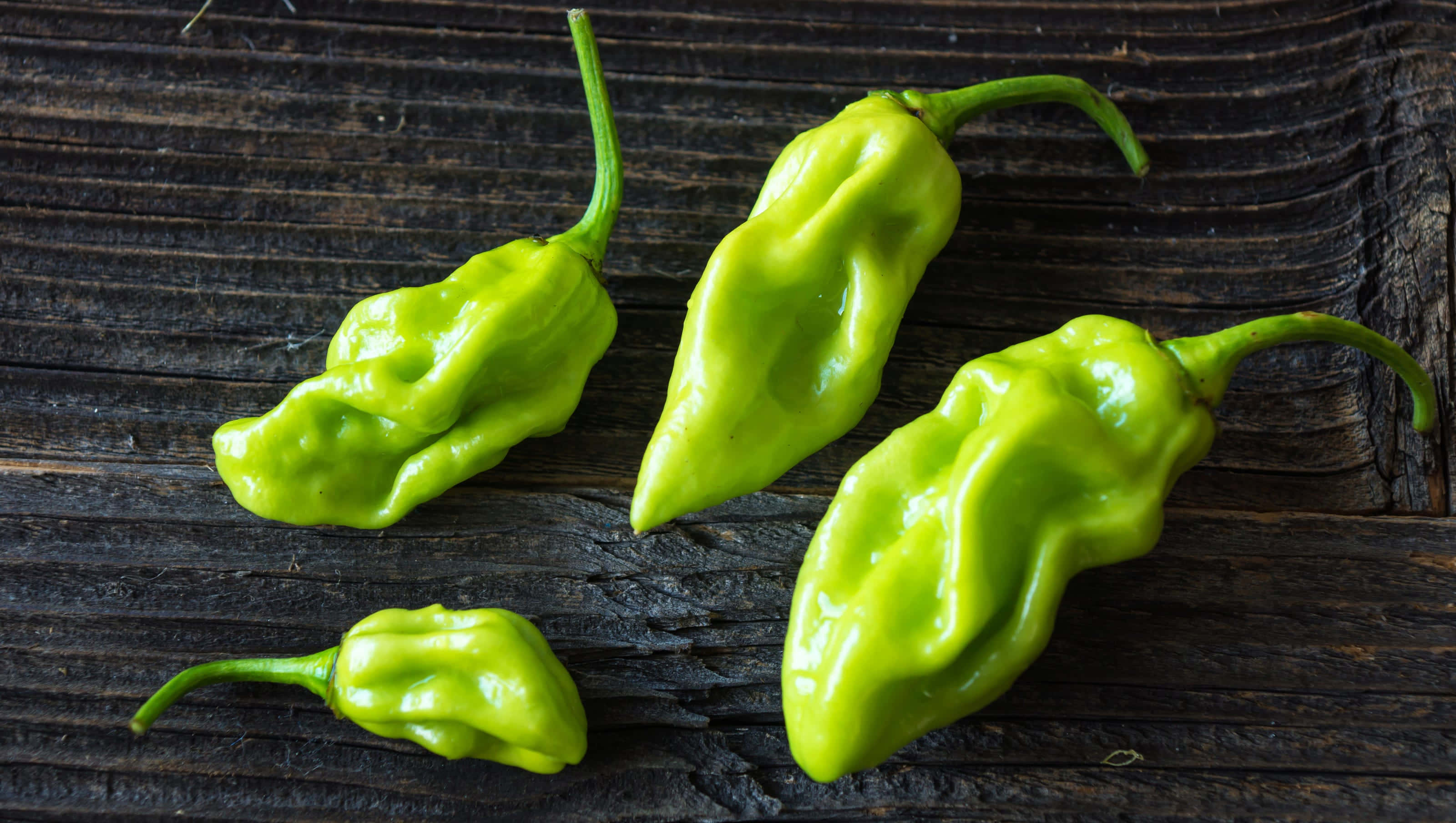 Ghost Pepper, habanero peppers, vibrant green, 2K Desktop Wallpaper