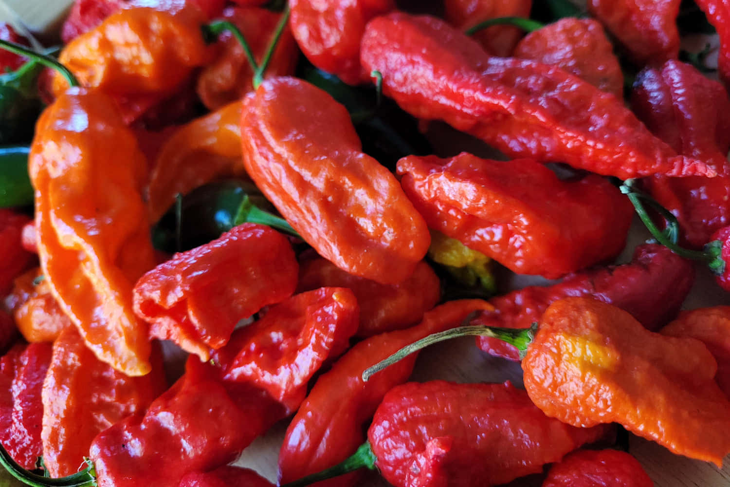 Ghost Pepper, red, orange, HD Desktop Wallpaper