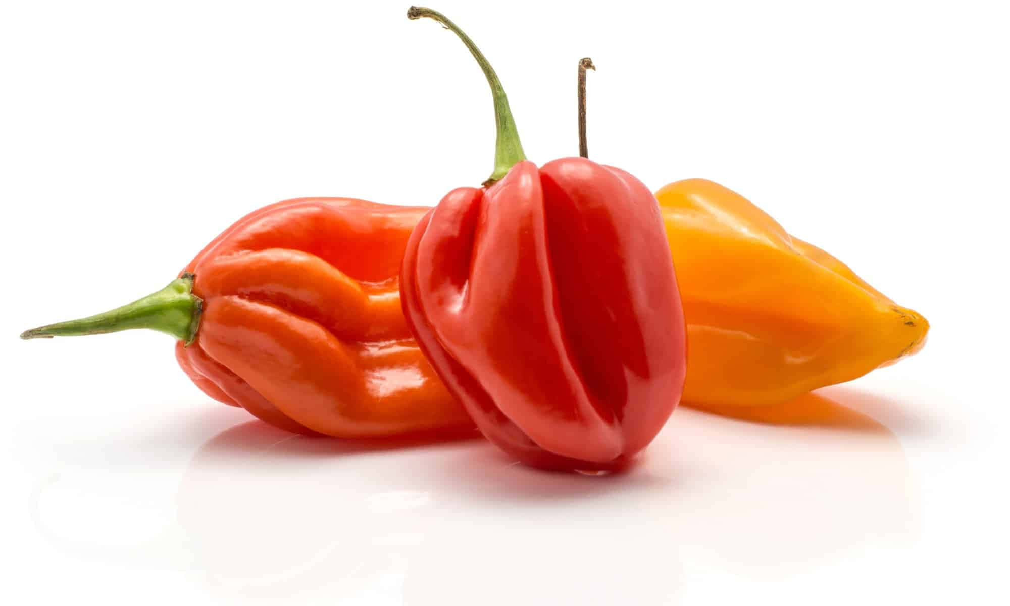 Ghost Pepper, habanero peppers, red orange, Full HD Desktop Wallpaper