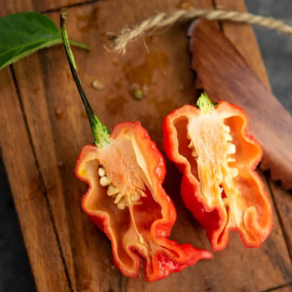 Ghost Pepper, red chili peppers, pale seeds, SD Desktop Wallpaper