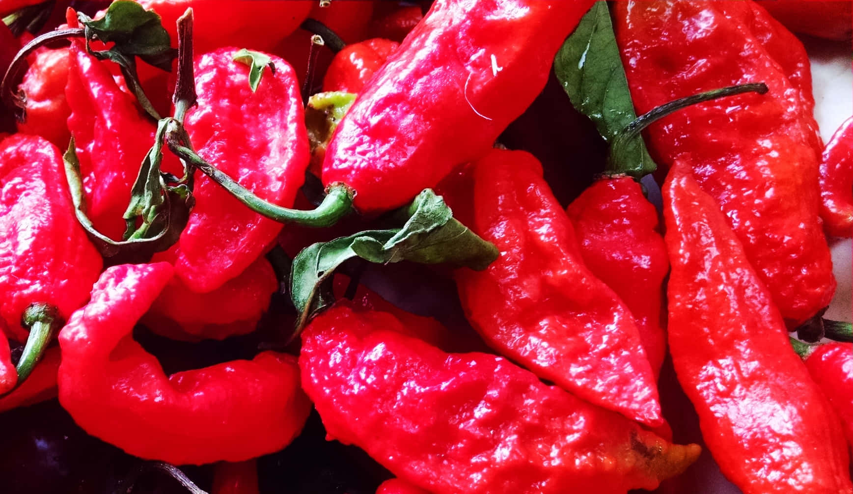 Ghost Pepper, glossy red chili peppers, green stems, HD Desktop Wallpaper