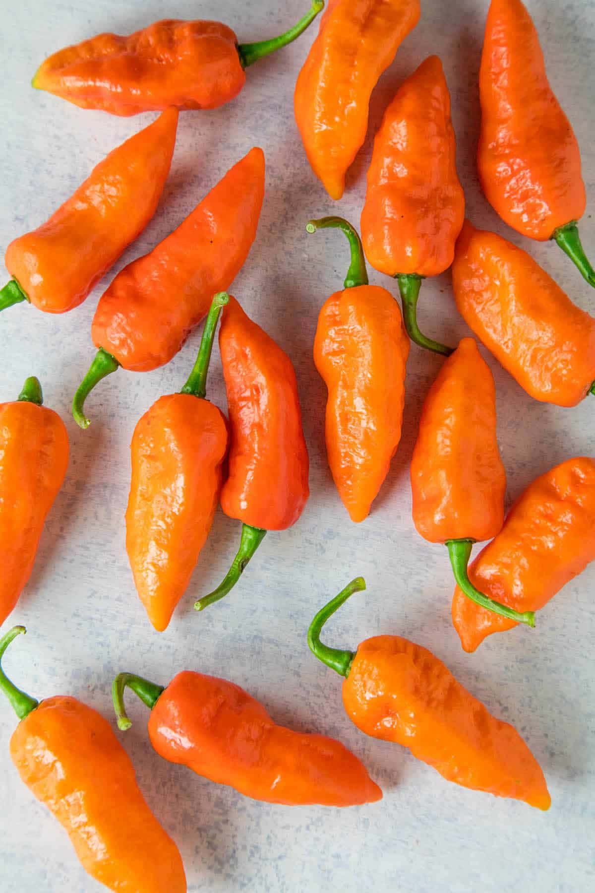 Ghost Pepper, habanero peppers, green stems, HD Phone Wallpaper