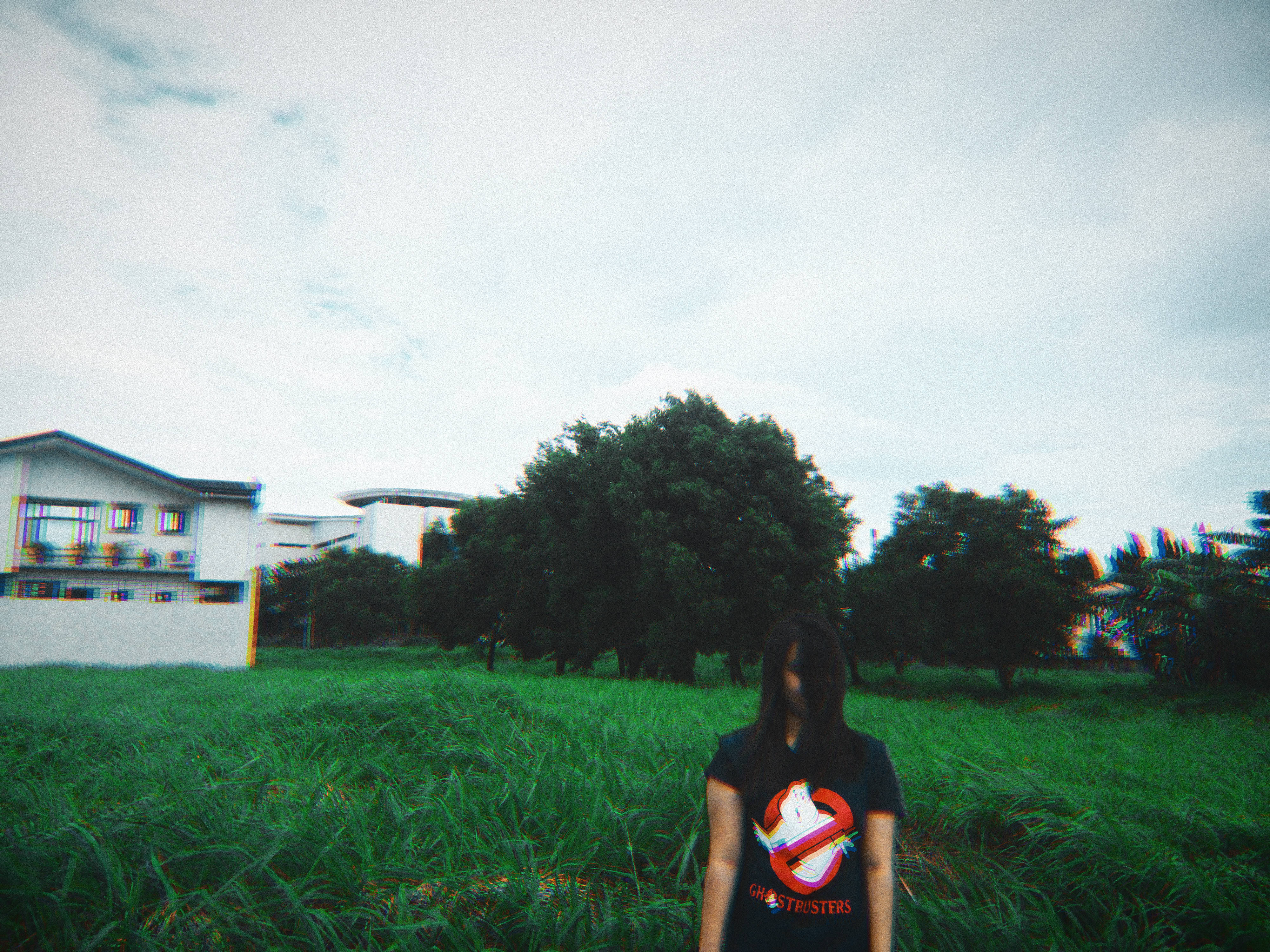 Ghostbusters, t-shirt, field of tall green grass, 4K Desktop Wallpaper