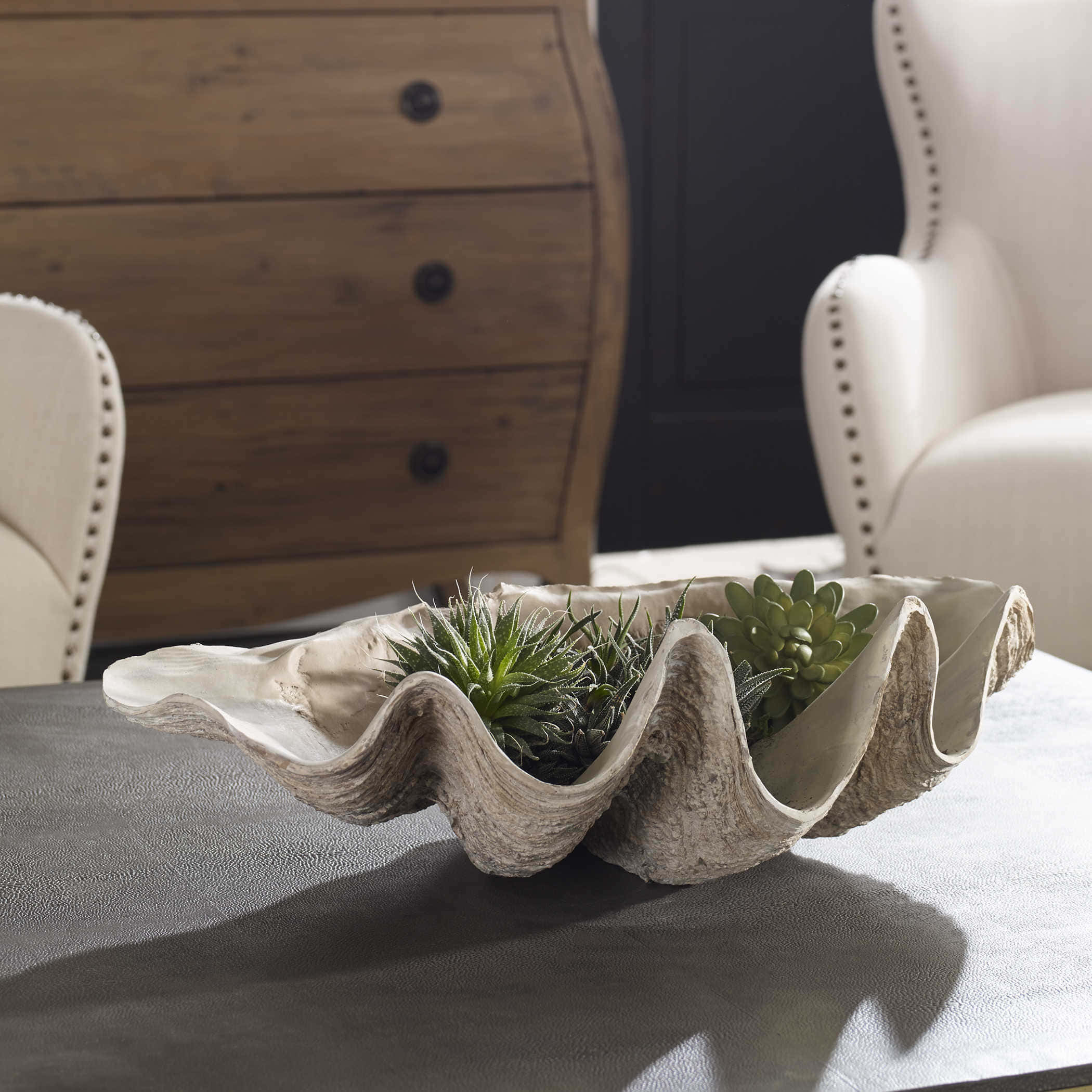 clam shell, green succulents, dark leather coffee table, Full HD Desktop Wallpaper