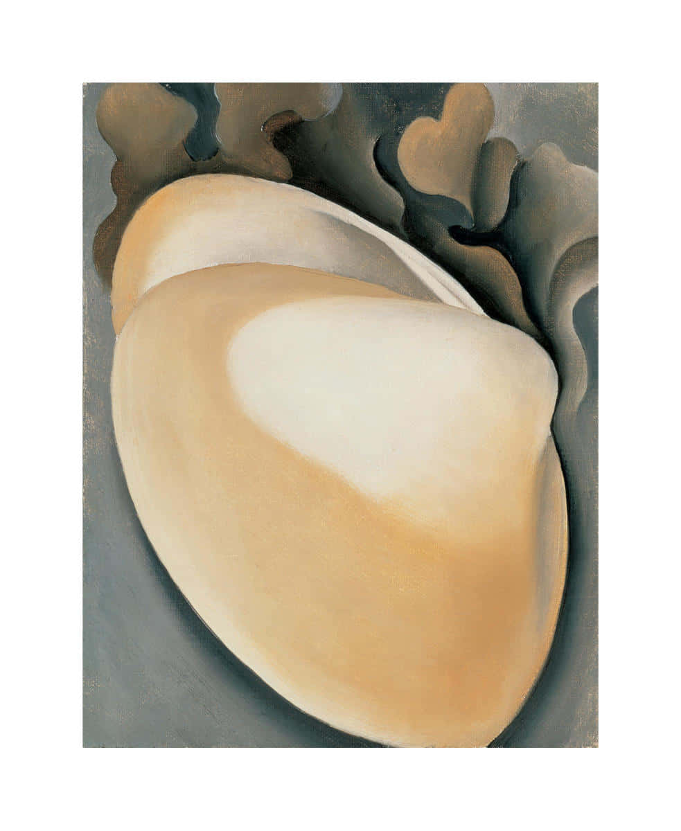 clam shell, beige shell, dark swirling forms, SD Phone Wallpaper
