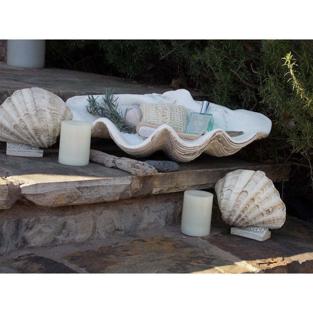 clam shell, scallop shell, candle, SD Desktop Wallpaper