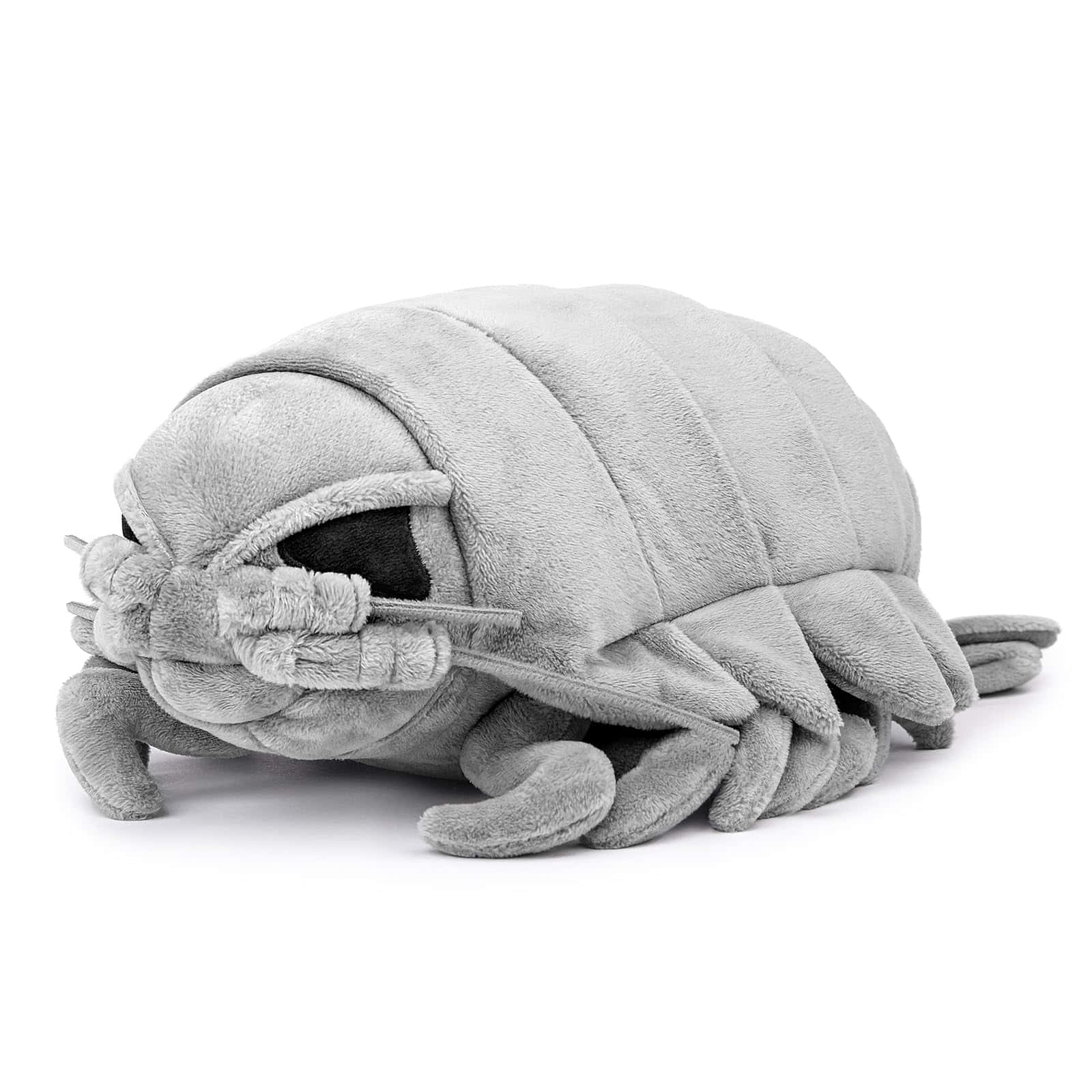 Giant Isopod, gray, plush, HD Desktop Wallpaper