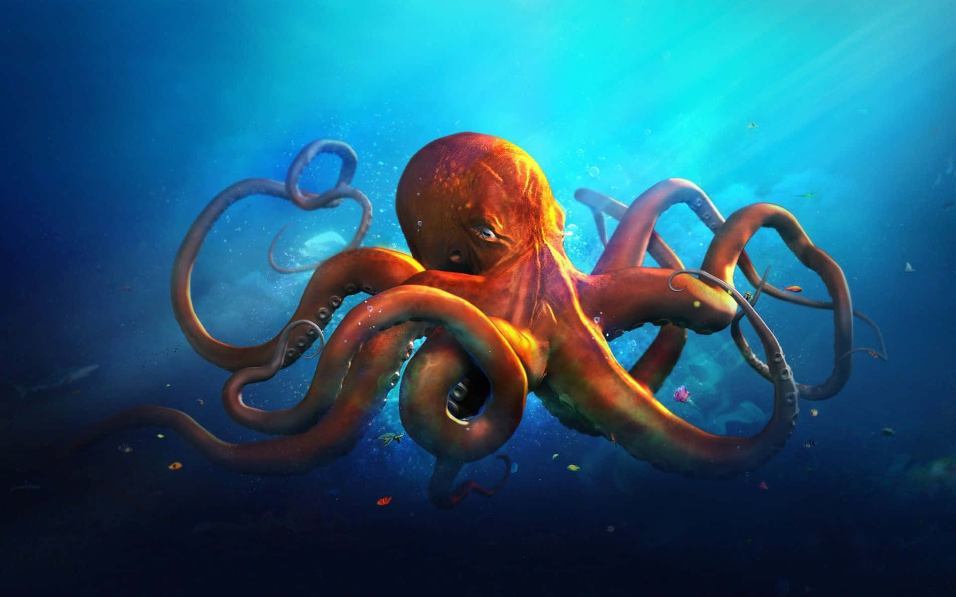 Giant Pacific Octopus, orange, deep blue ocean waters, Full HD Desktop Wallpaper