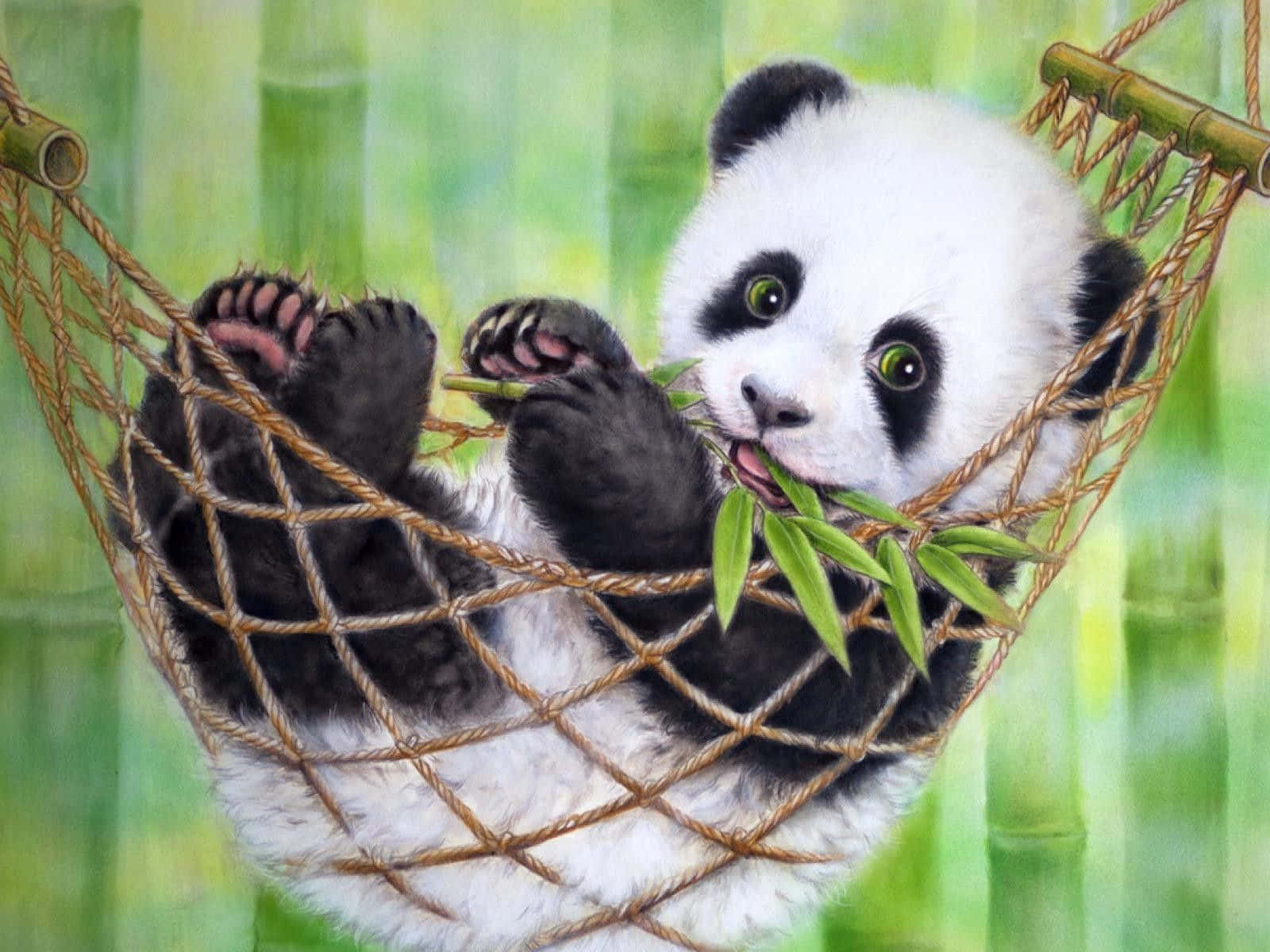 giant panda, panda cub, rope hammock, HD Desktop Wallpaper