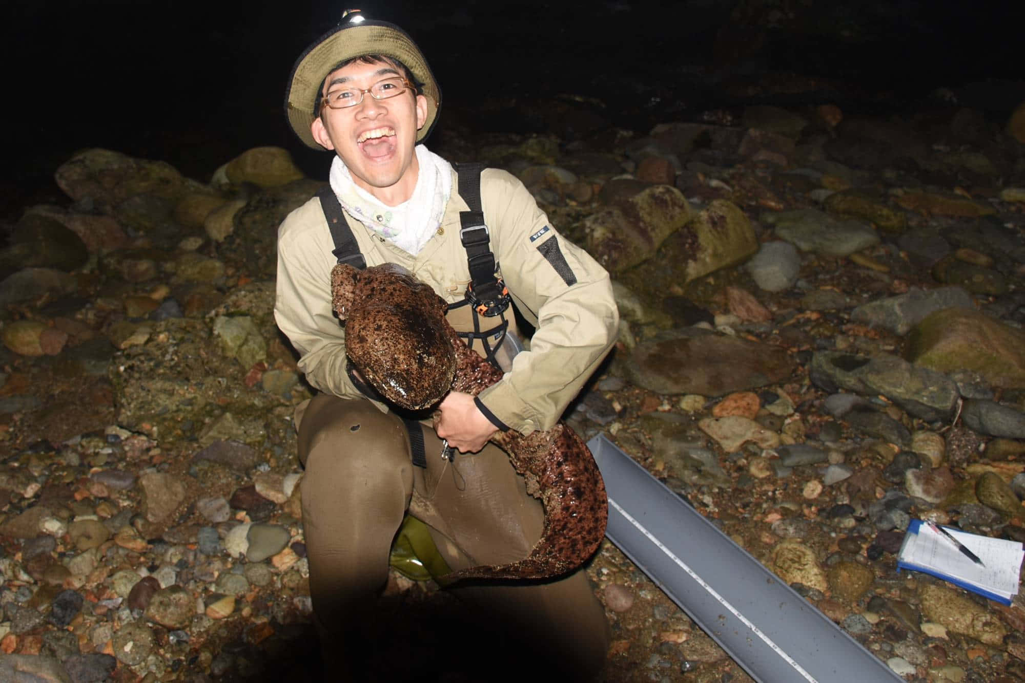 Giant Salamander, night, rocky riverbank, Full HD Desktop Wallpaper