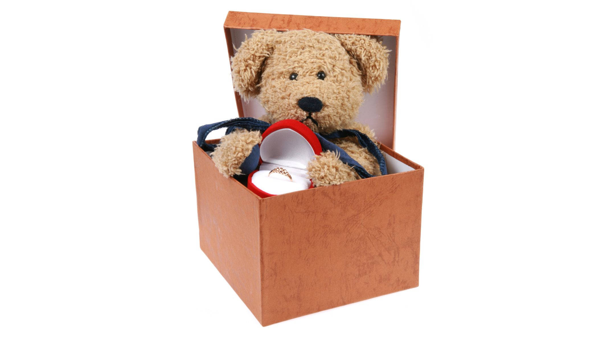 gift box, teddy bear, red ring box, Full HD Desktop Wallpaper
