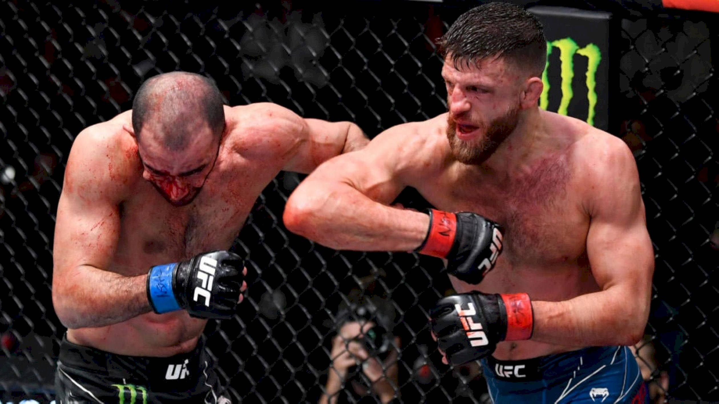 Giga Chikadze, elbow jab, monster energy, Full HD Desktop Wallpaper