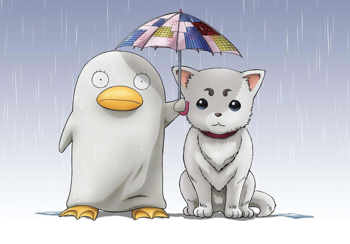 Elizabeth, Gintama, penguin, HD Desktop Wallpaper