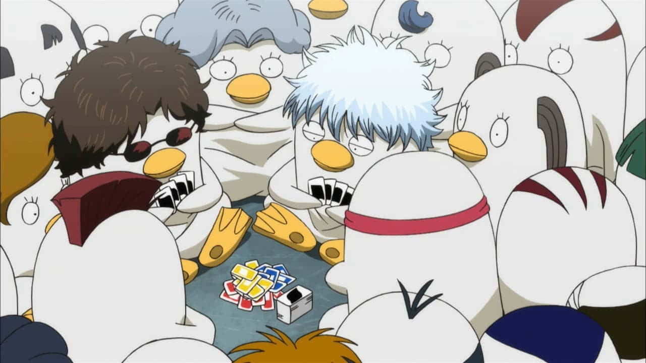 Gintama Elizabeth, playing cards, sunglasses, HD Desktop Wallpaper
