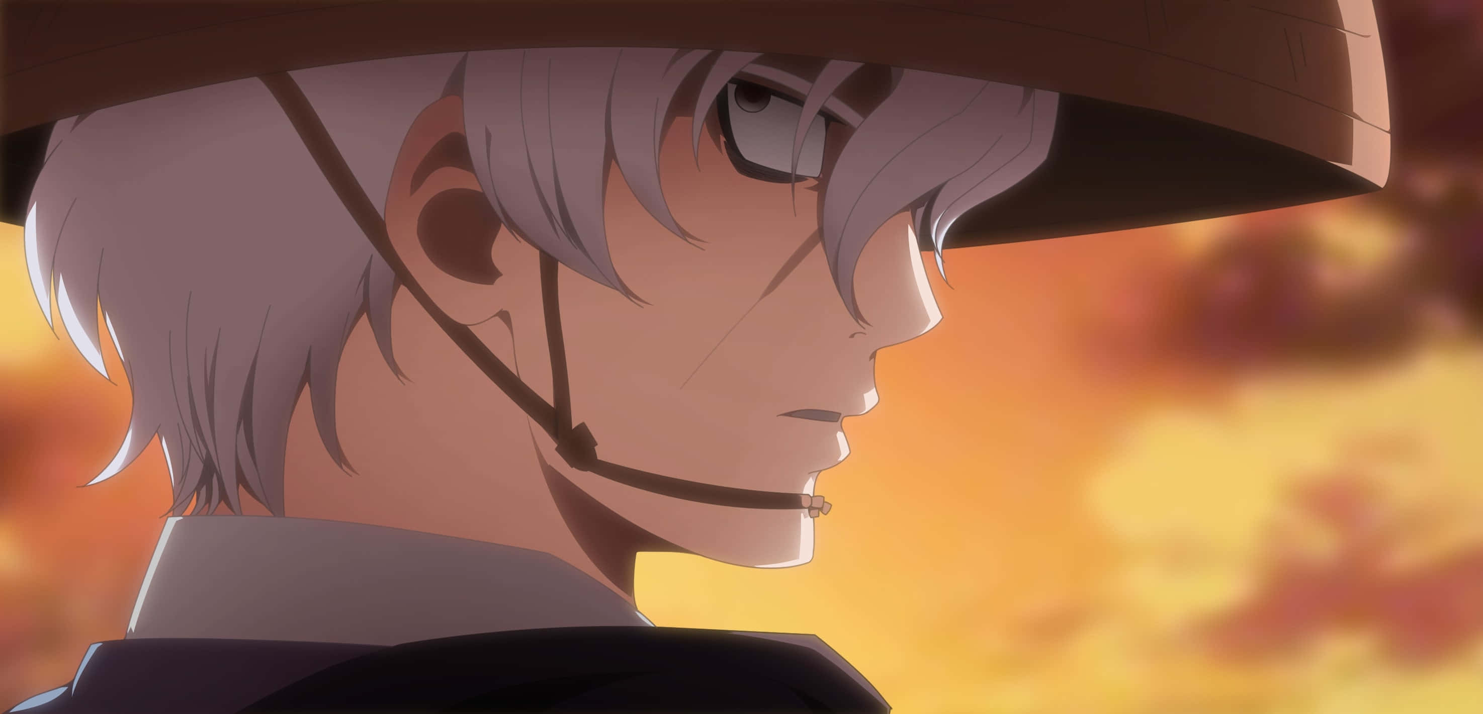 Gintama Oboro, silver-haired anime character, wide-brimmed hat, 2K Desktop Wallpaper
