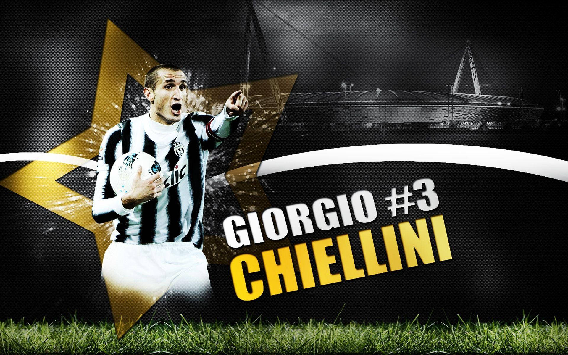 Giorgio Chiellini, black and white striped jersey, dark stadium backdrop, Full HD Desktop Wallpaper