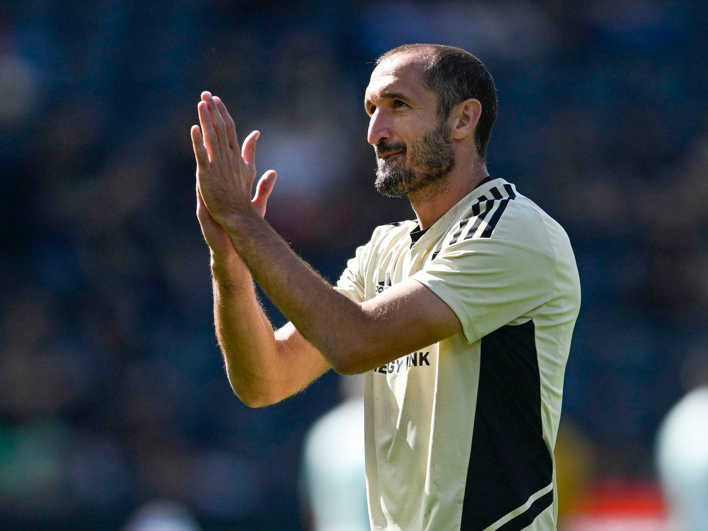 Giorgio Chiellini, cream and black jersey, sunlit stadium, HD Desktop Wallpaper