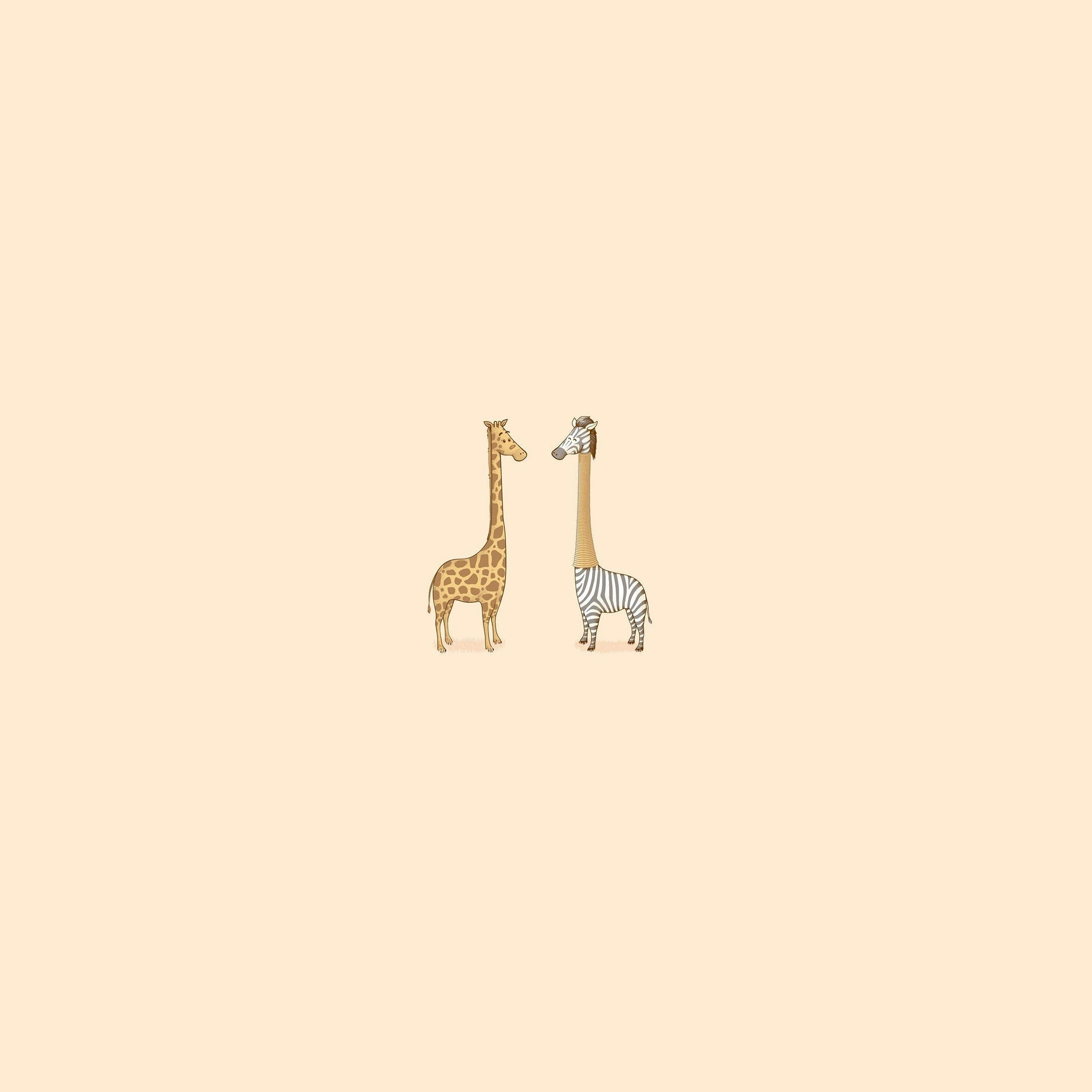 iPad Pro, giraffe, zebra, 2K Desktop Wallpaper