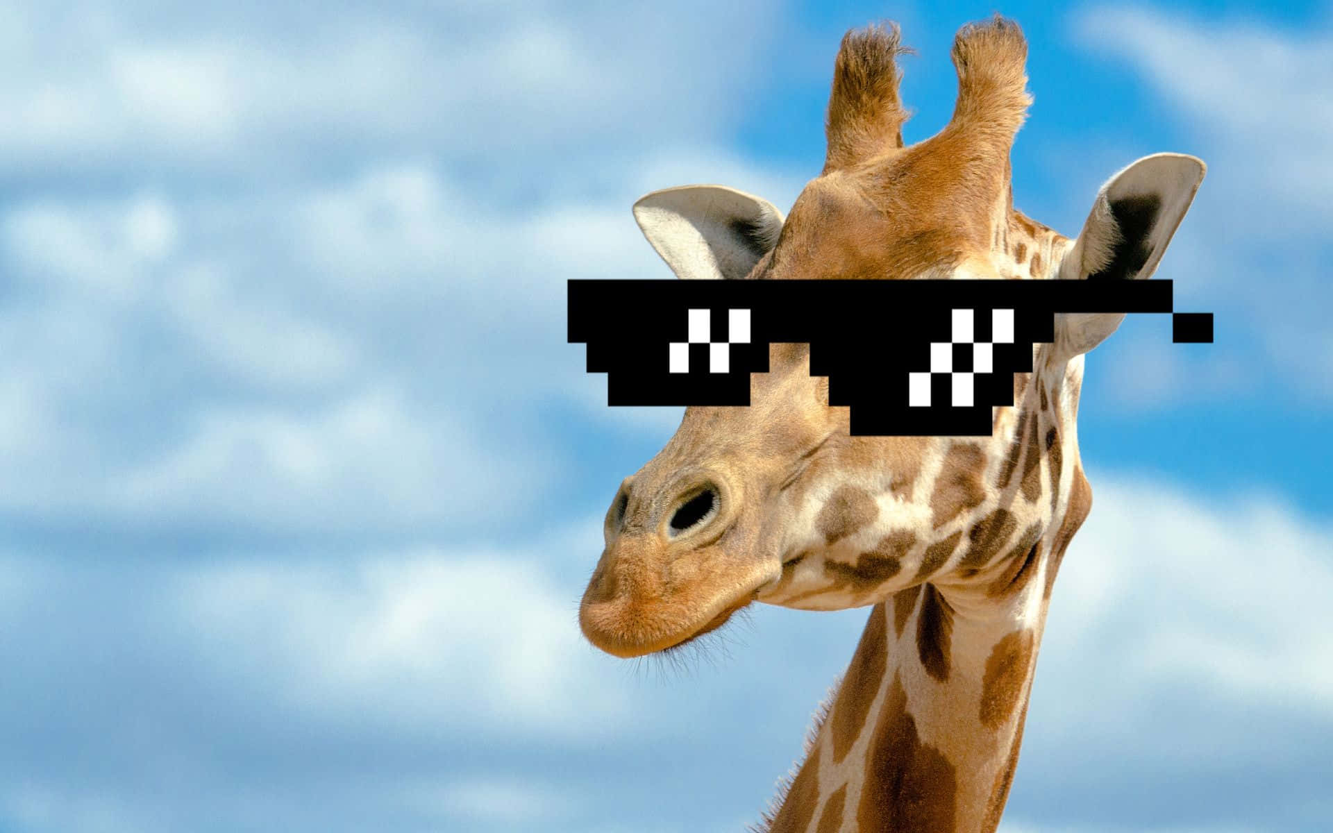 Funny Giraffe, 8 Bit Sunglasses, bright blue sky, Full HD Desktop Wallpaper