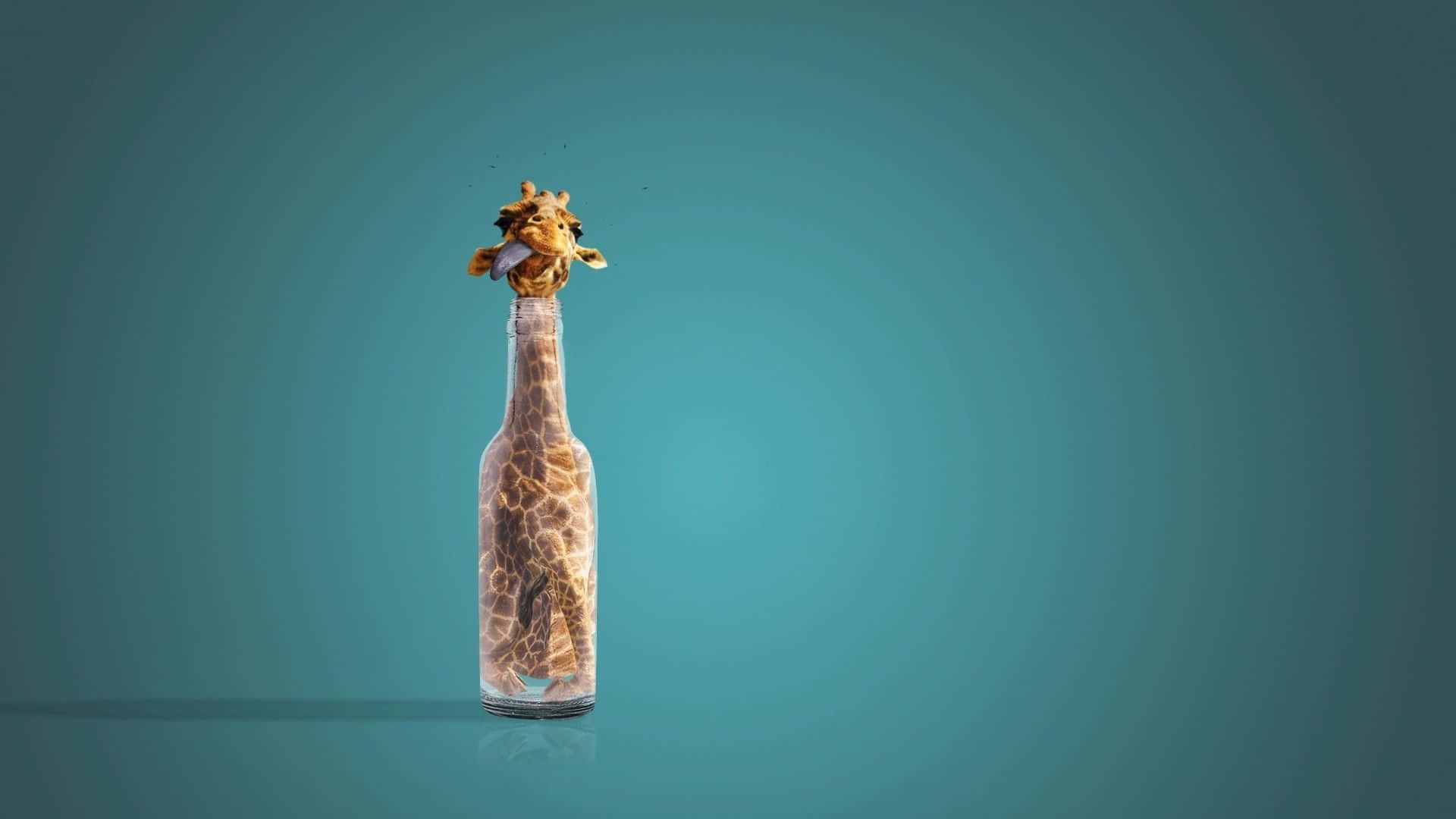 Funny Giraffe, glass bottle, spotted coat, Full HD Desktop Wallpaper