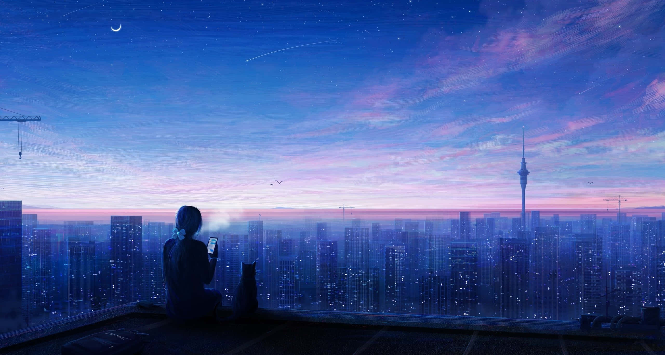 rooftop, twilight, glowing cityscape, 2K Desktop Wallpaper