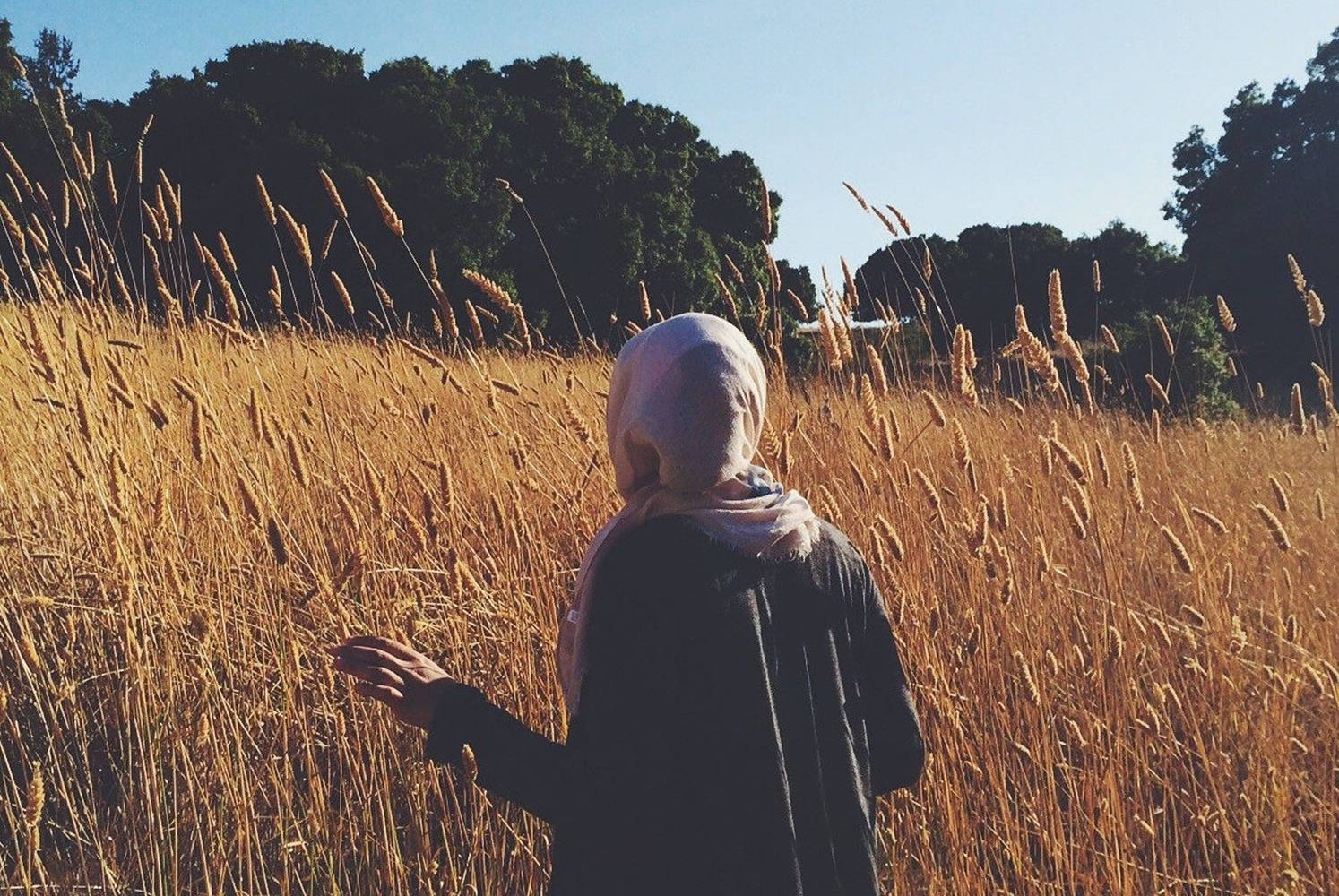 hijab, white headscarf, tall golden grasses, HD Desktop Wallpaper
