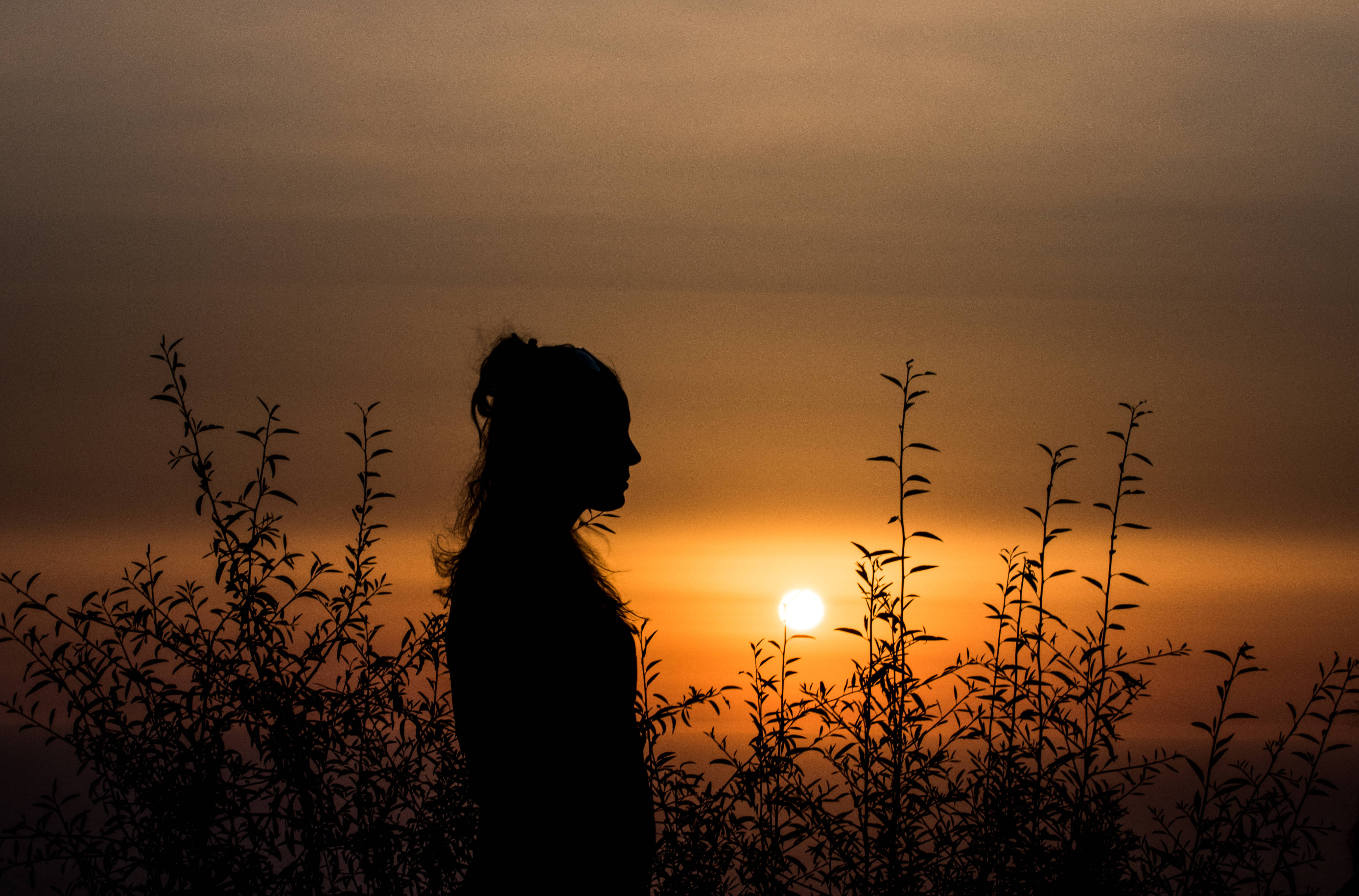 Girl Shadow, glowing sunset, tall grasses, 5K Desktop Wallpaper