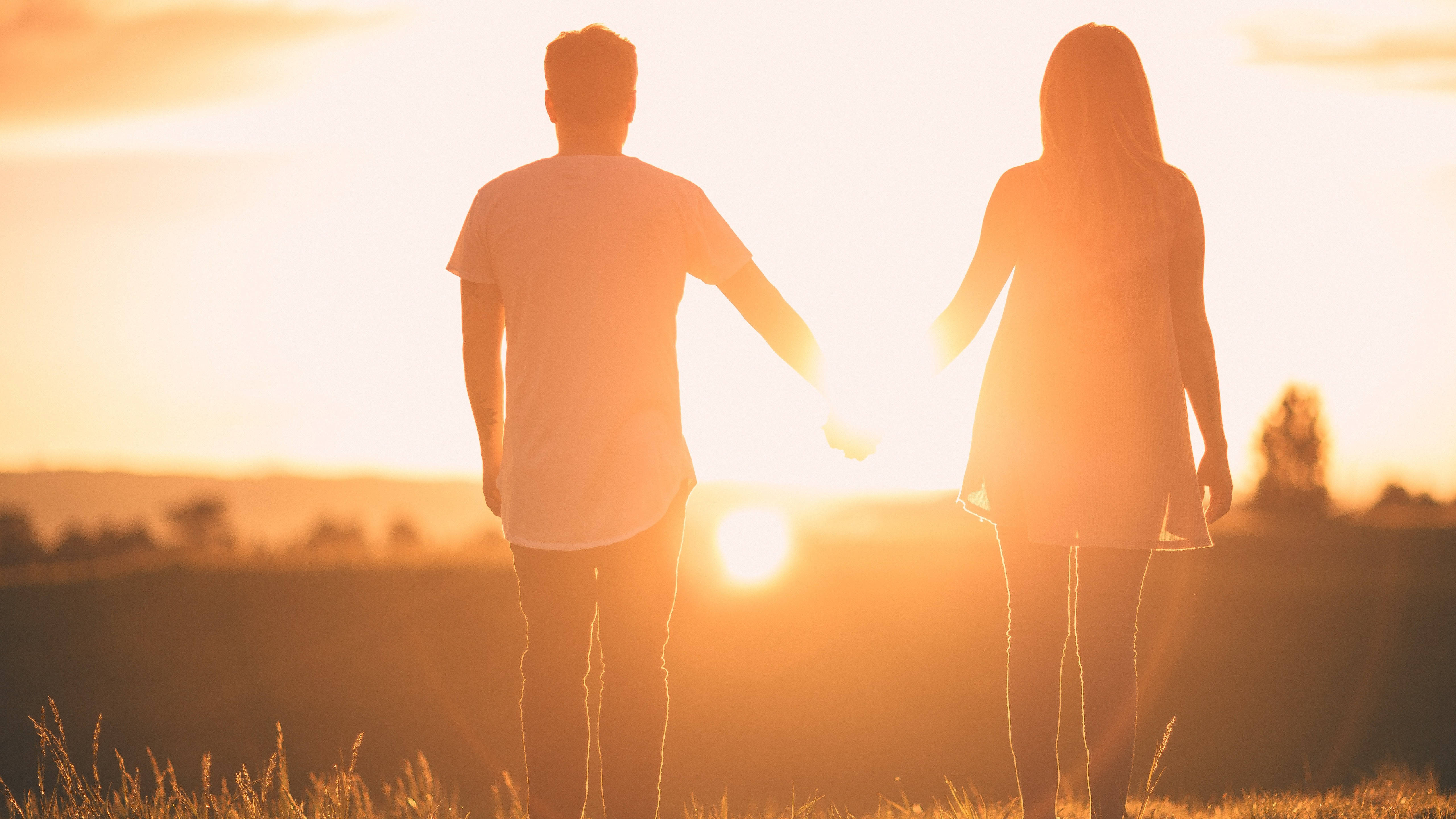 sun glare, glowing sunset, grassy field, 5K Desktop Wallpaper