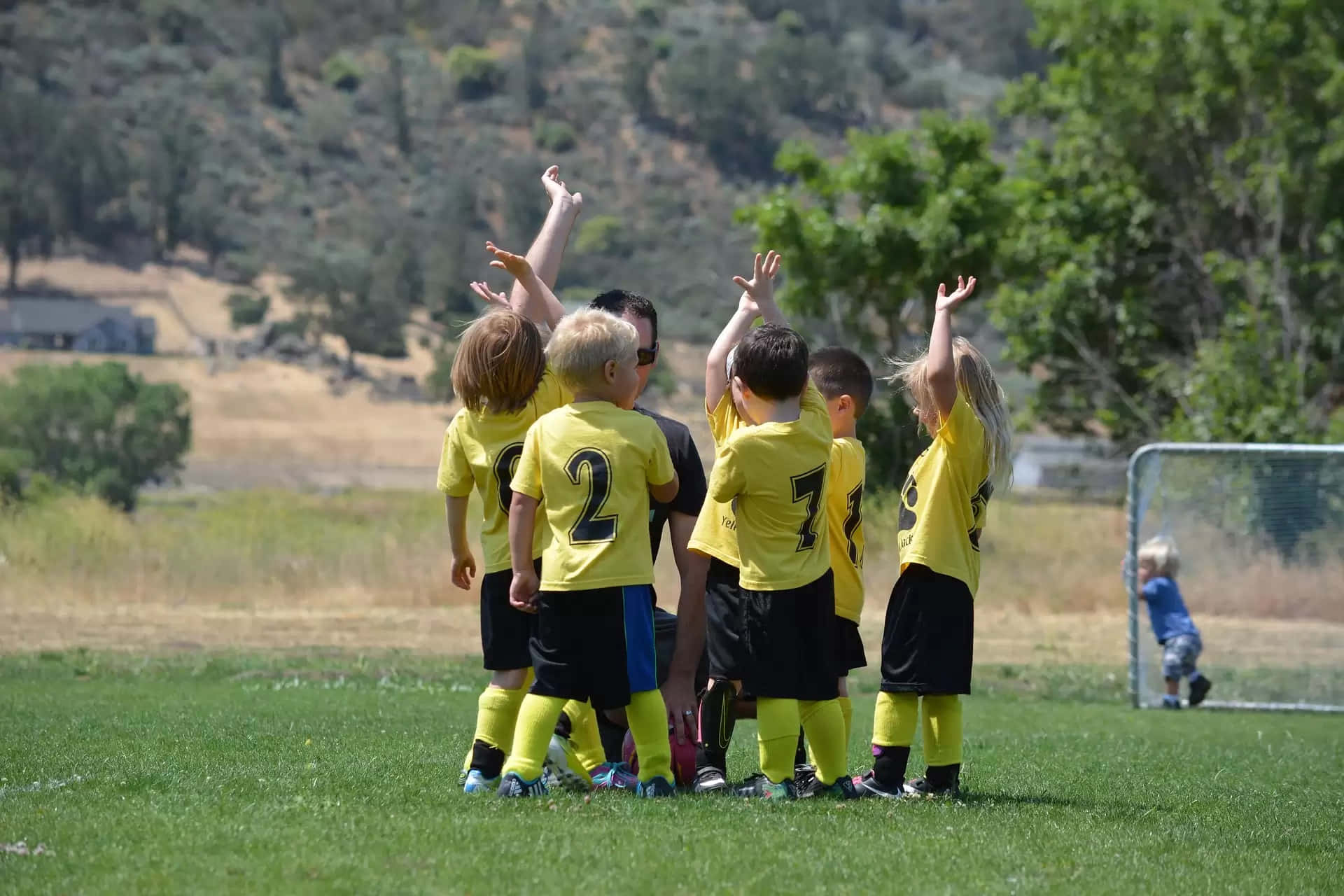 yellow jerseys, sunny grass field, trees, Full HD Desktop Wallpaper